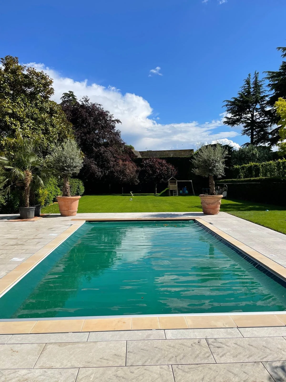 A backyard with a swimming pool, potted trees, green lawn, and tall trees under a blue sky with clouds.