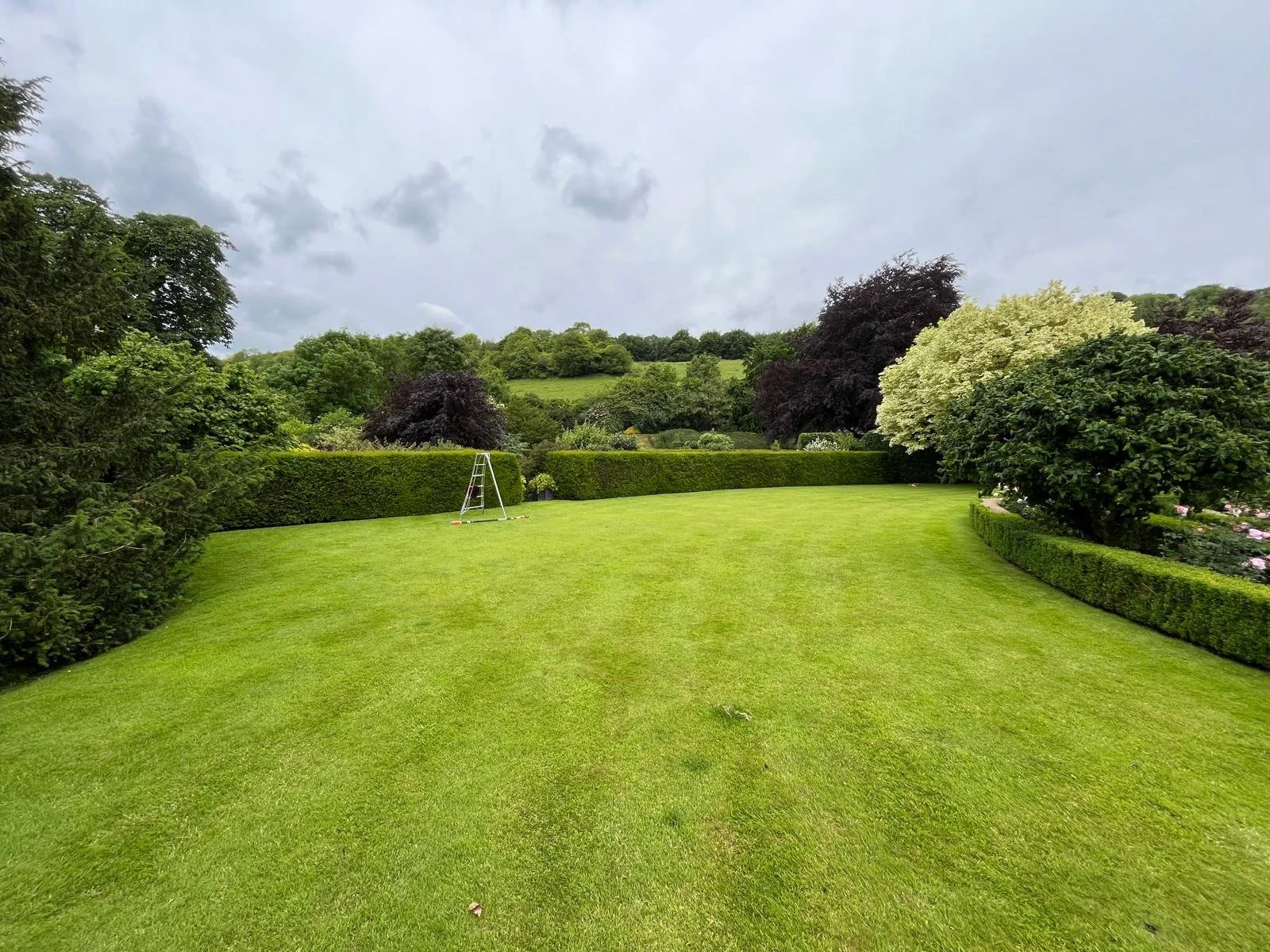 A well-maintained backyard with a lush green lawn, trimmed hedges, and various trees under a cloudy sky.