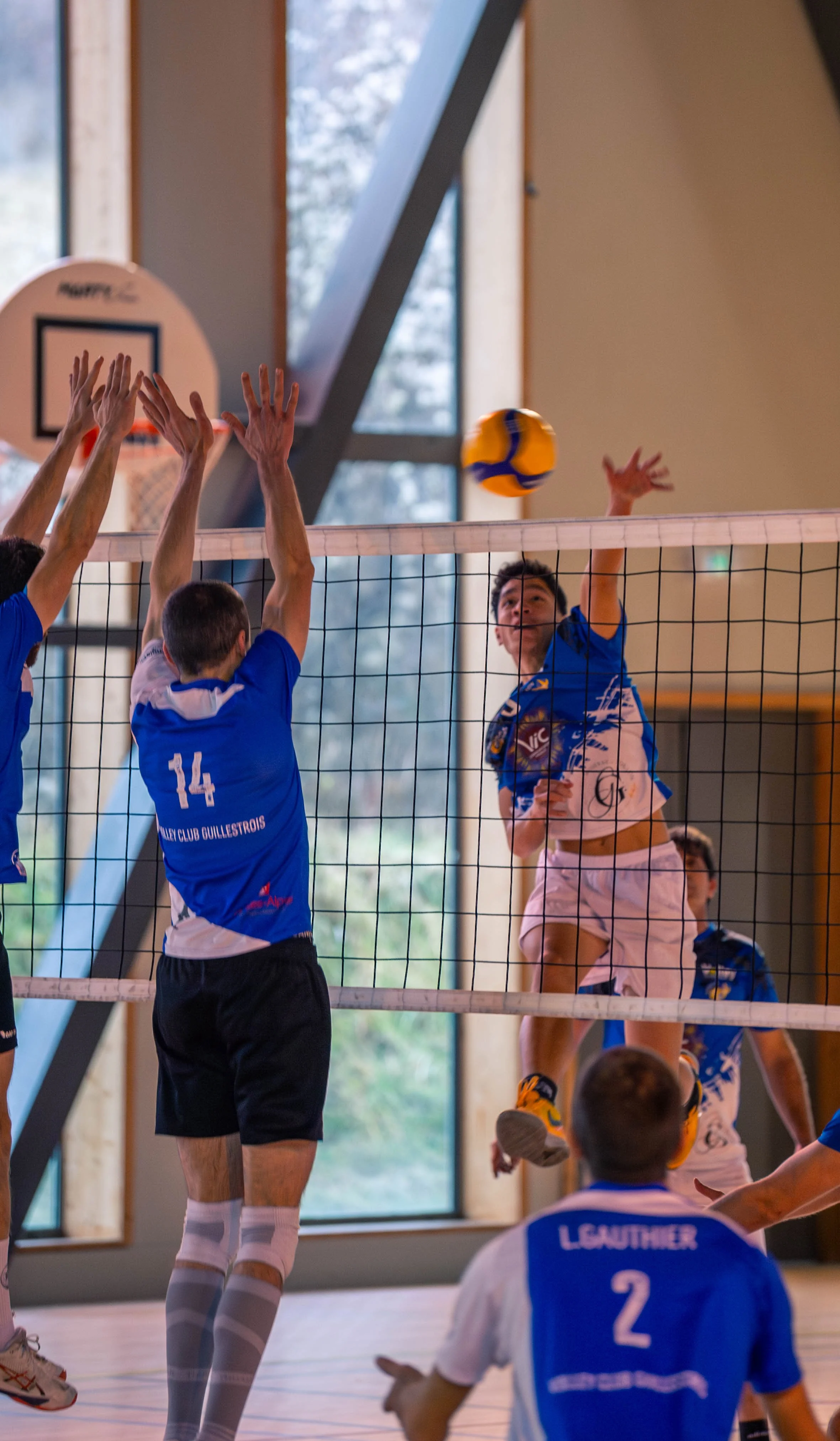 Des joueurs de volley-ball en action lors d'un match à l'intérieur, avec un joueur sautant pour frapper le ballon au-dessus du filet, tandis que deux autres joueurs tentent de bloquer. L'arrière-plan montre une grande fenêtre avec vue sur l'extérieur