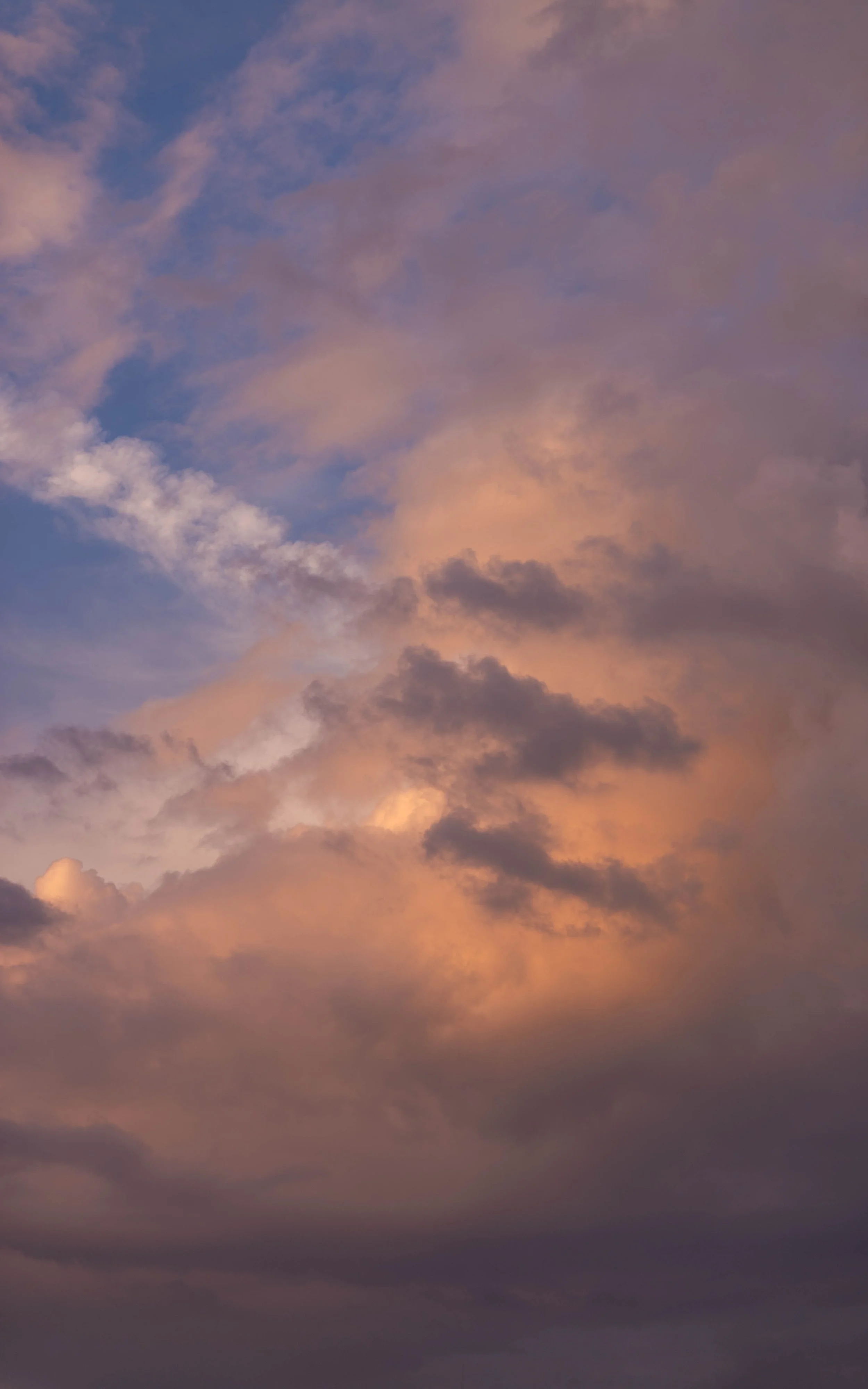 DSC_9836.jpg