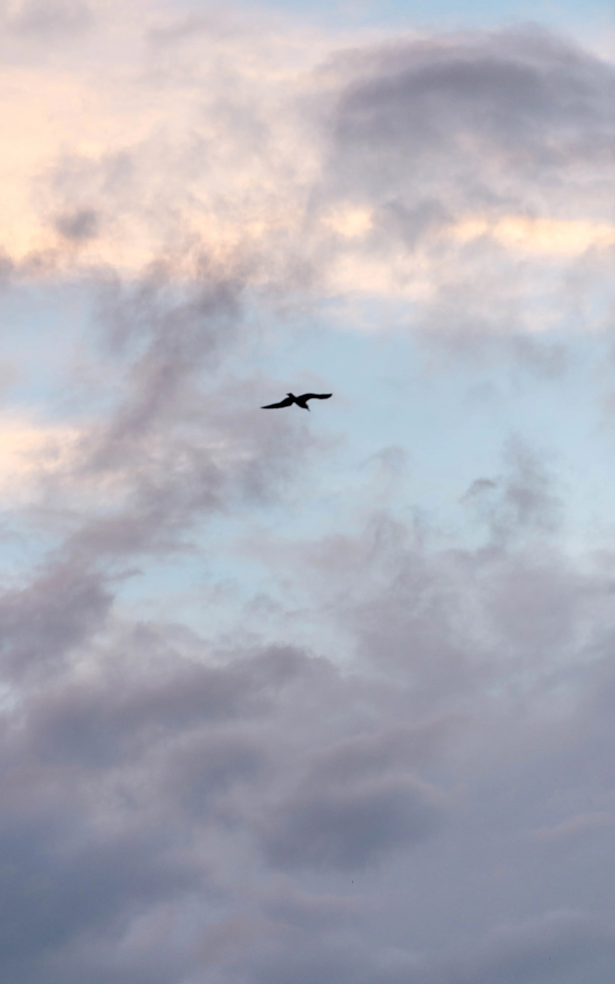 DSC_7142.jpg