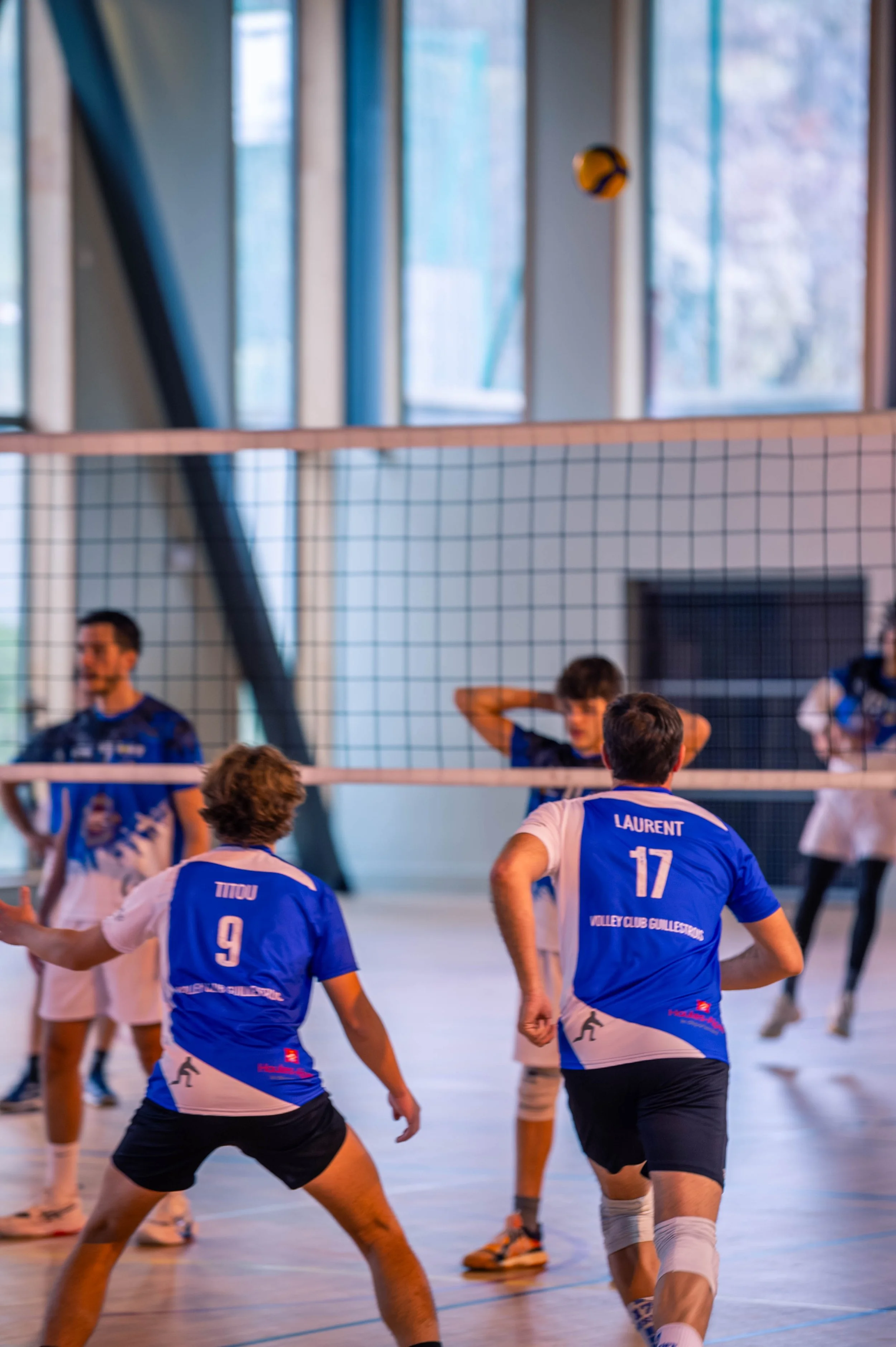Joueurs de volley-ball en action dans un gymnase, avec le filet visible, les joueurs portent des maillots bleus et blancs, et un ballon de volley est dans l'air.