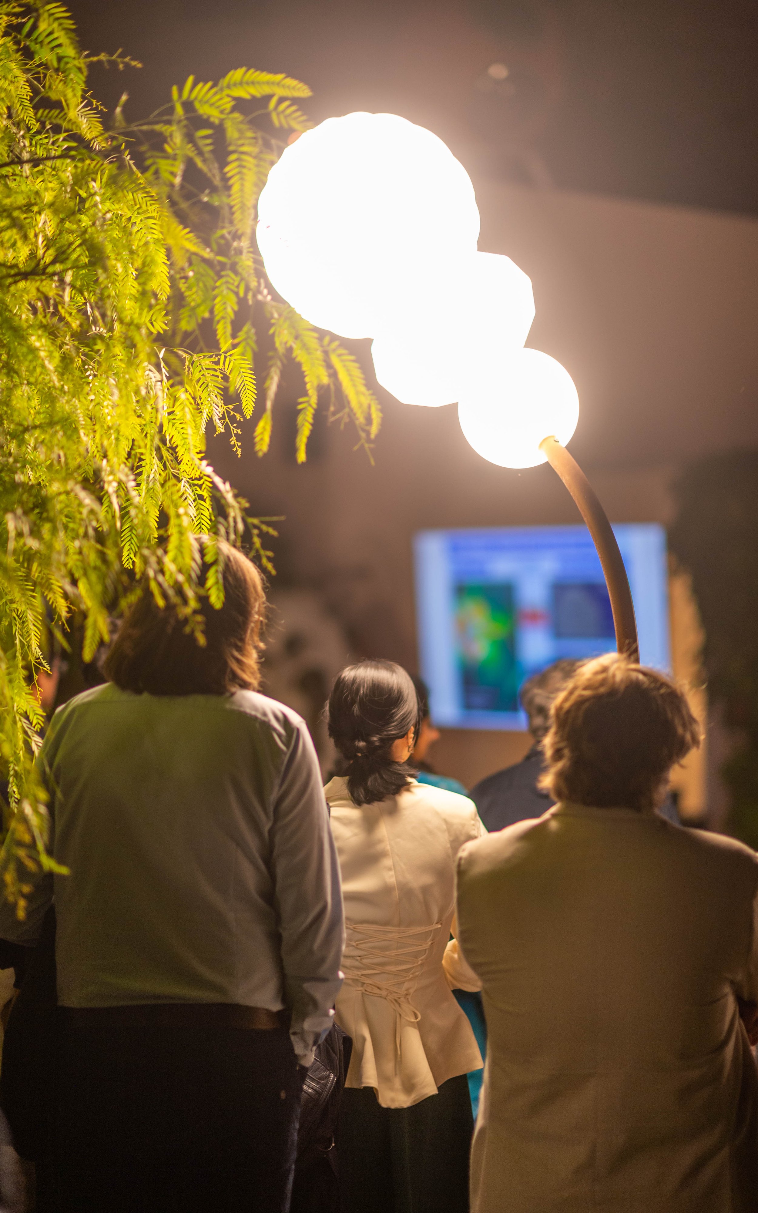 DSC_0578.jpg