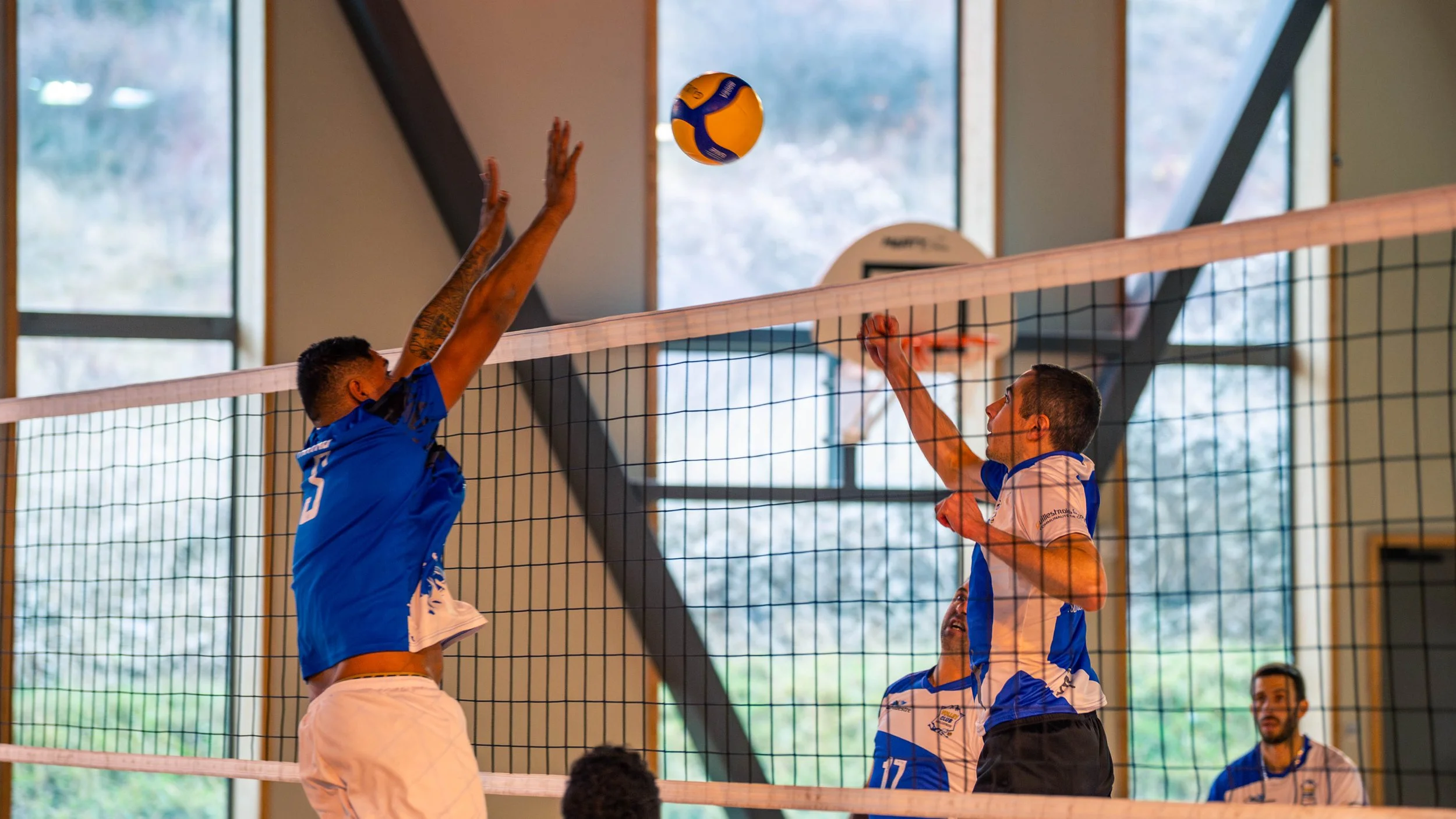 Deux joueurs de volley-ball, portant des maillots bleus et blancs, sautent en tentant de frapper ou de bloquer une balle de volley jaune et bleue au-dessus du filet dans un gymnase.