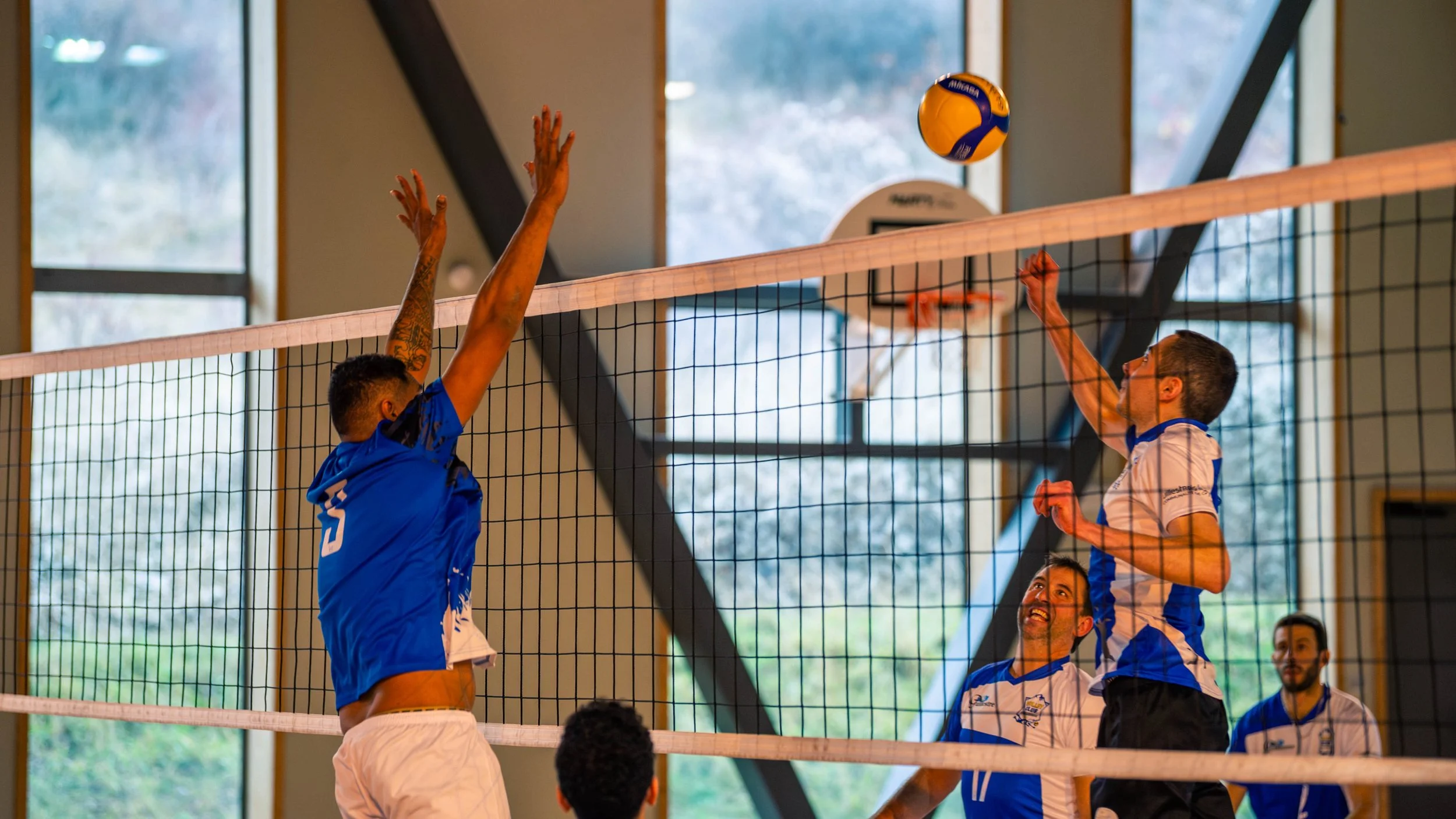 Deux joueurs de volleyball, un en bleu et un en blanc, sautent pour frapper la balle au-dessus du filet, avec deux autres joueurs en arrière-plan dans une salle avec de grandes fenêtres.