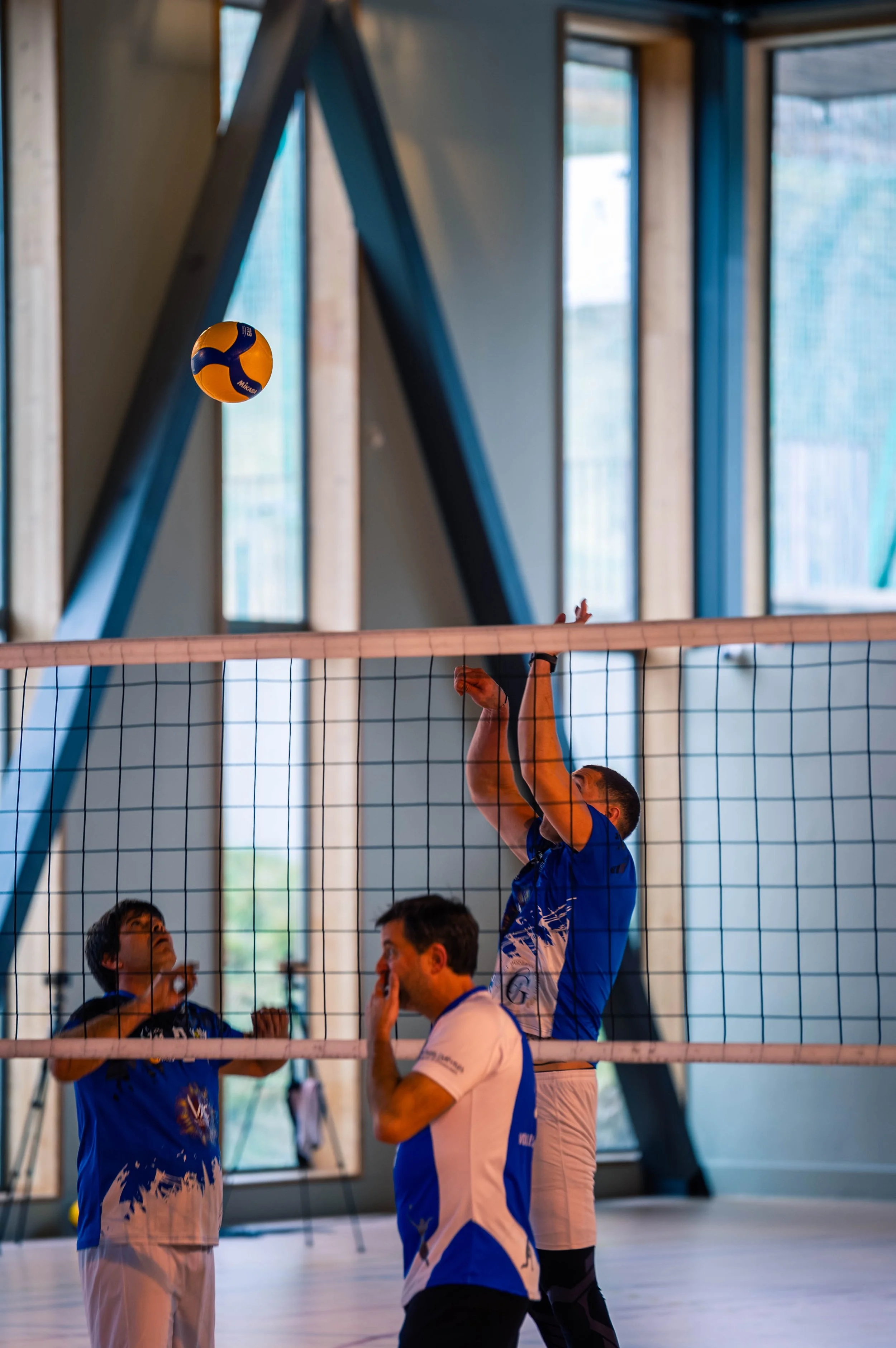 Trois joueurs de volleyball en action dans une salle avec grande fenêtre, deux en bleu et blanc, un en blanc et bleu, un ballon de volleyball en l'air.