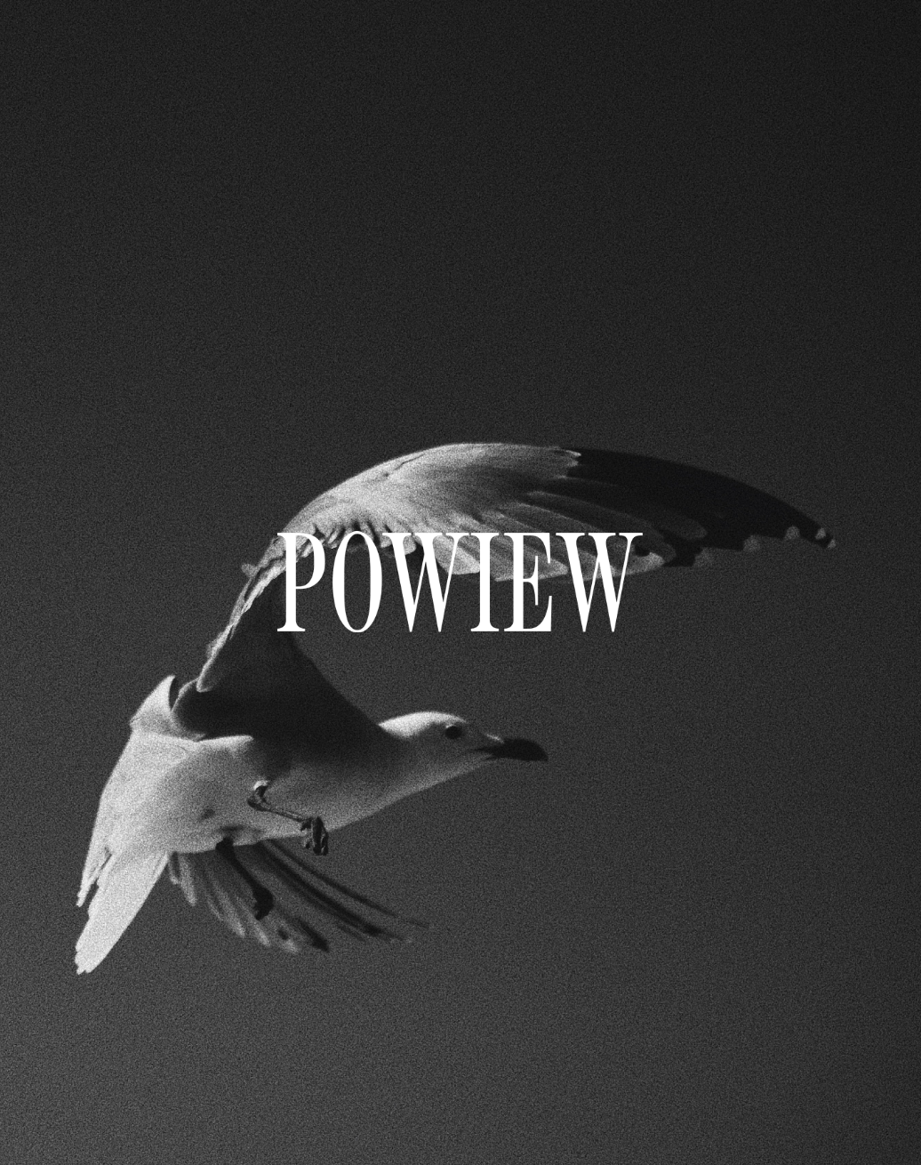 powiew