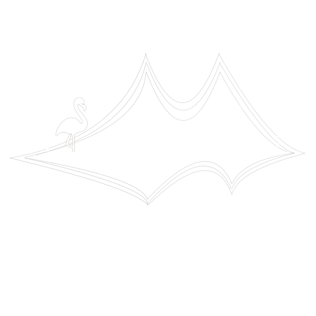 Nomadica Project logo for immersive live music events, artist collaboration and creative production support