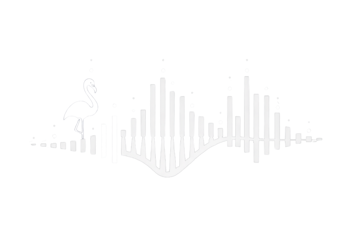 Nomadica Project logo displayed on the contact page for live music collaboration and artist support enquiries