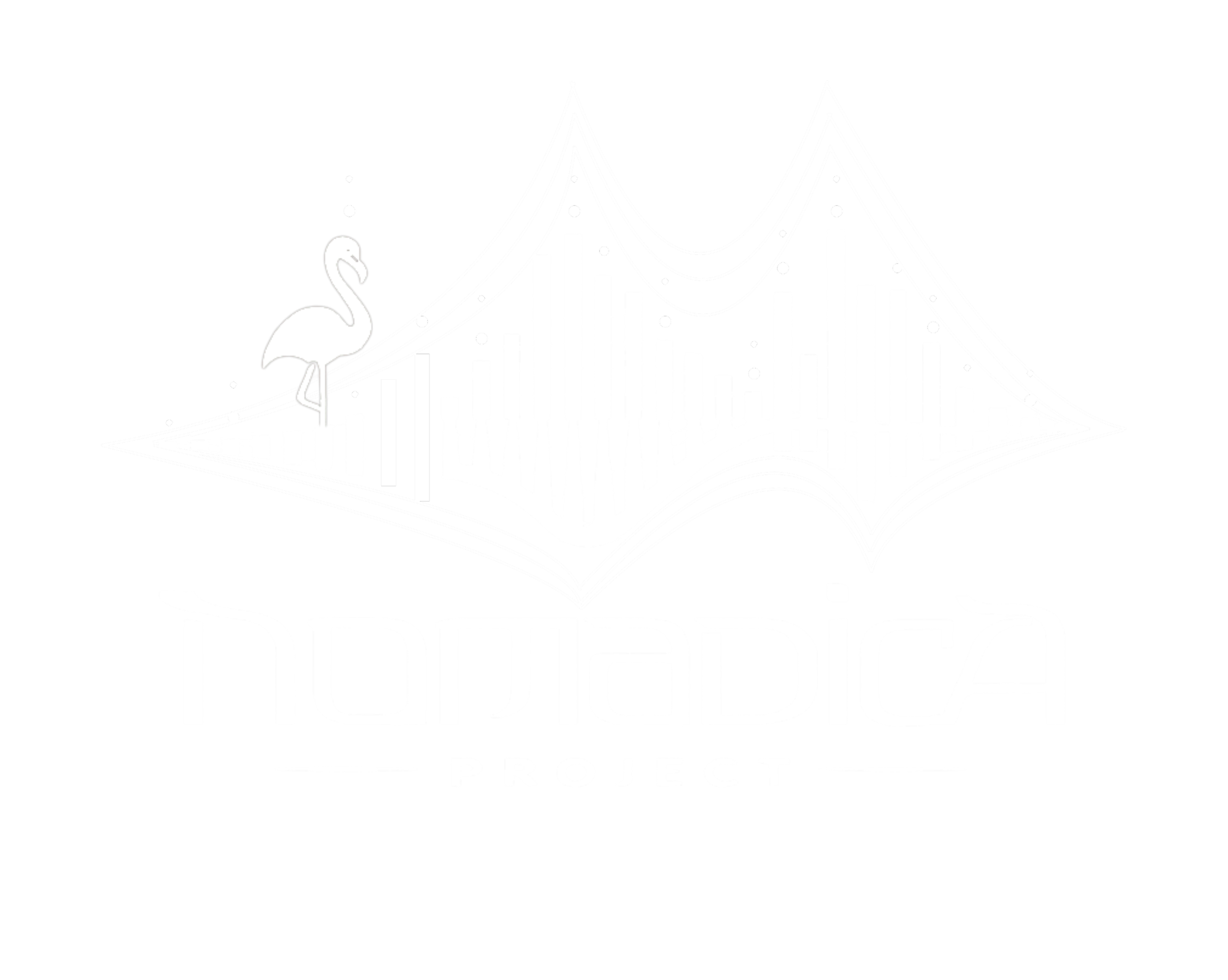 INomadica Project logo for immersive live music and artist collaboration platform