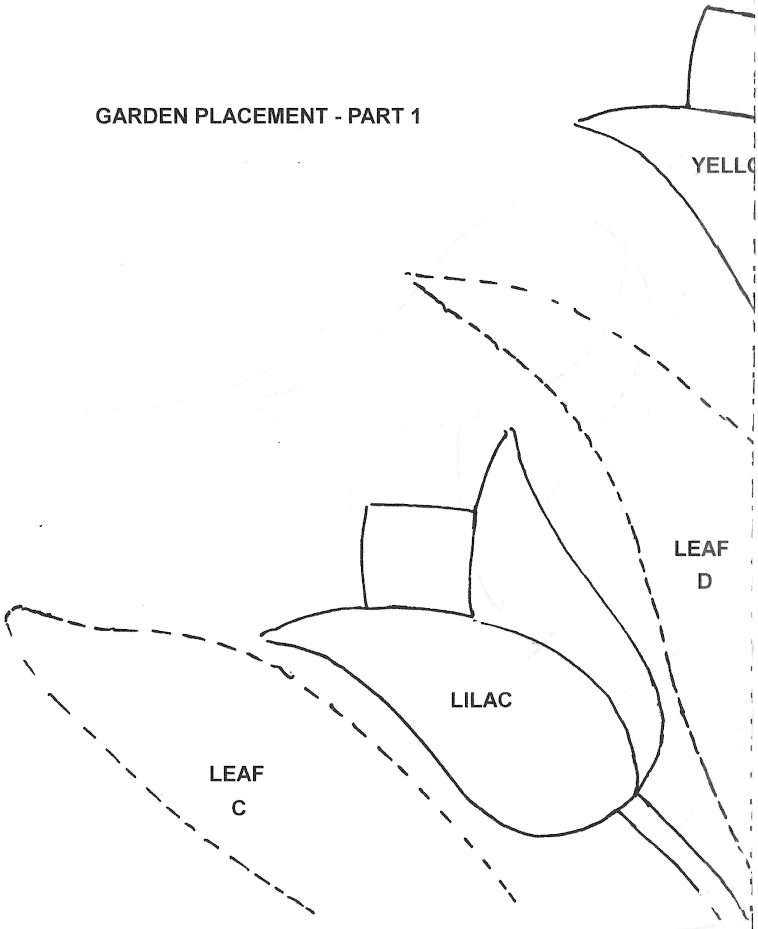 PLACEMENT-PART 1.jpg