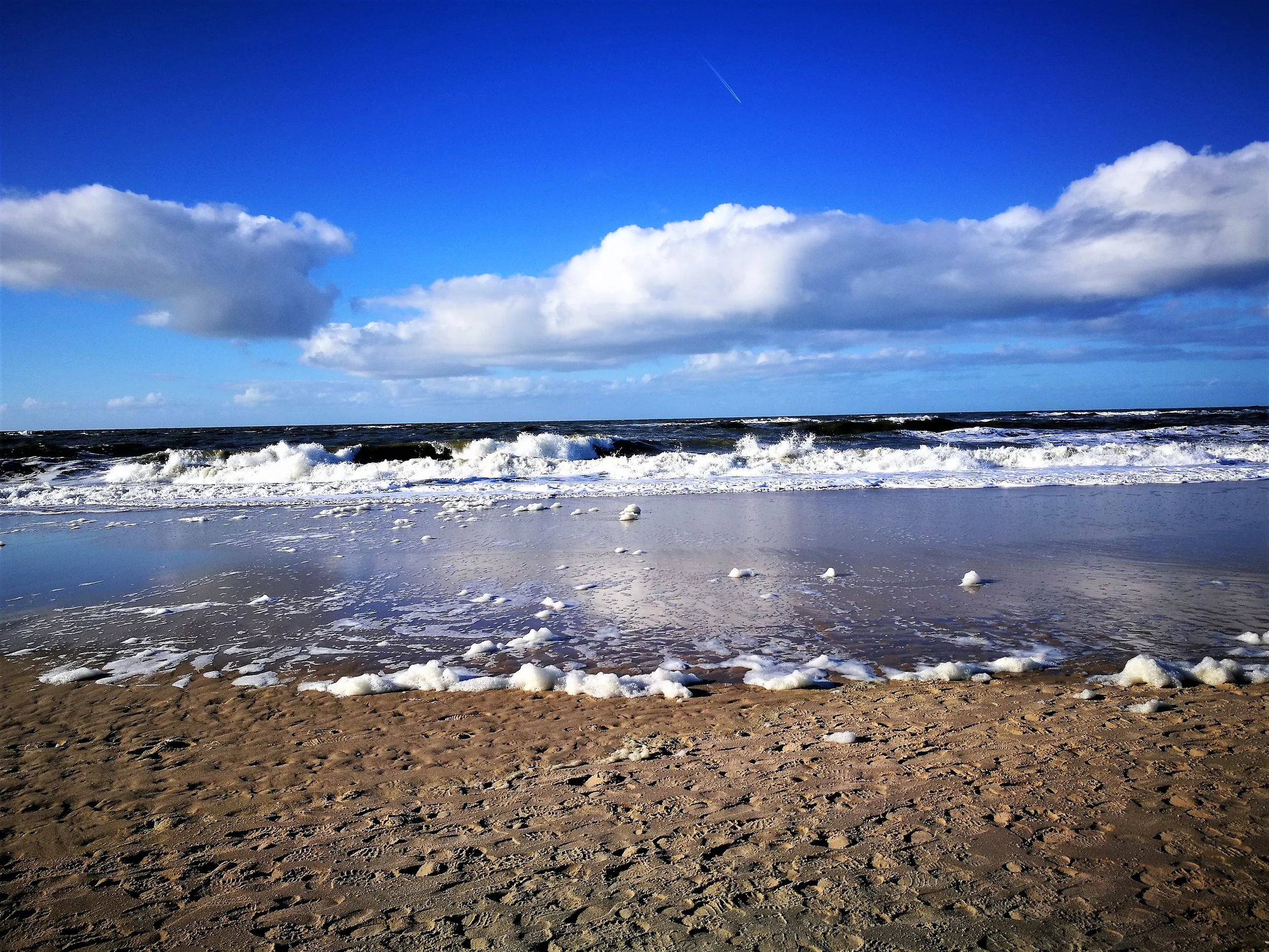 IMG_20181031_132938_1 (2).jpg