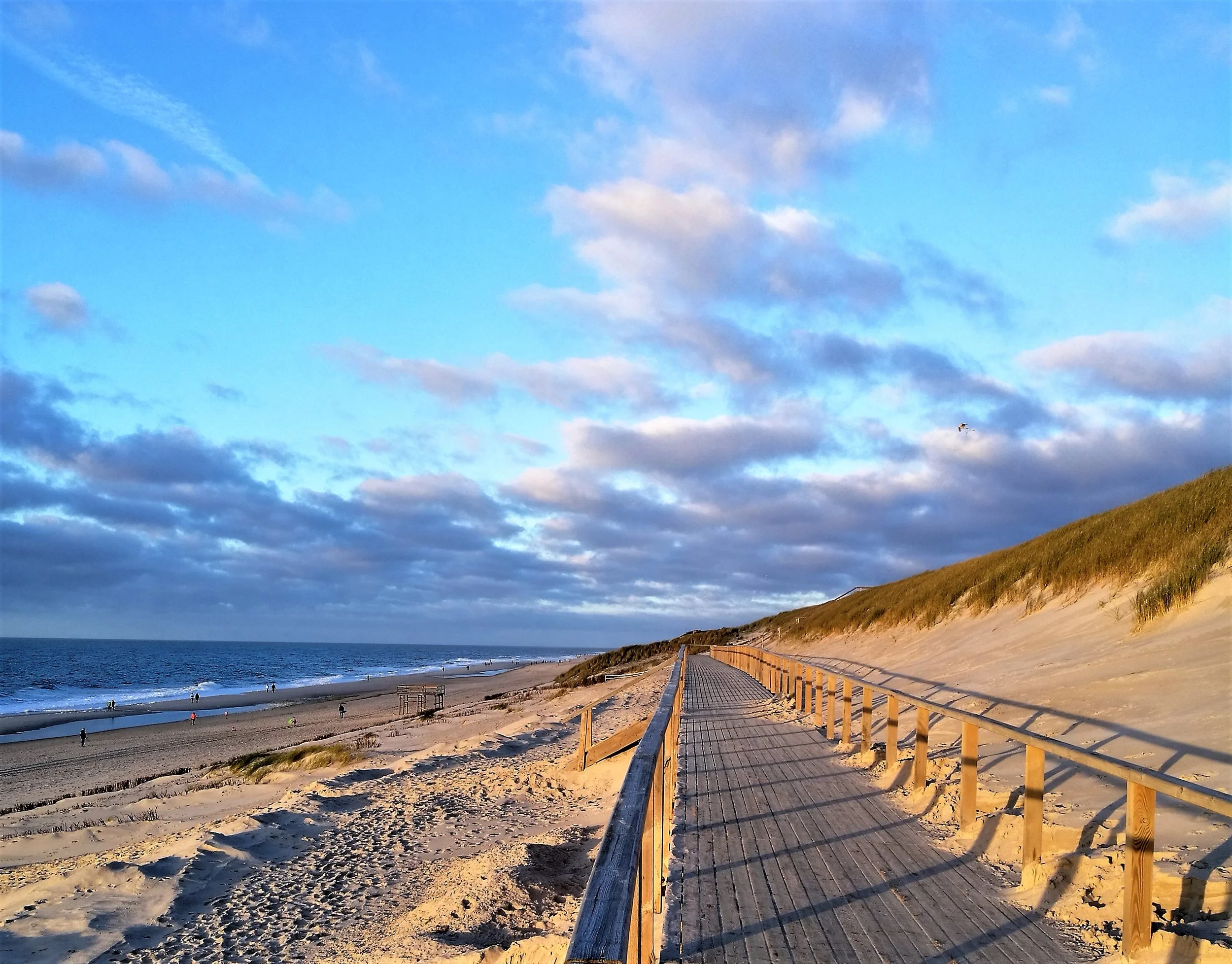 IMG_20181108_155915 (2).jpg