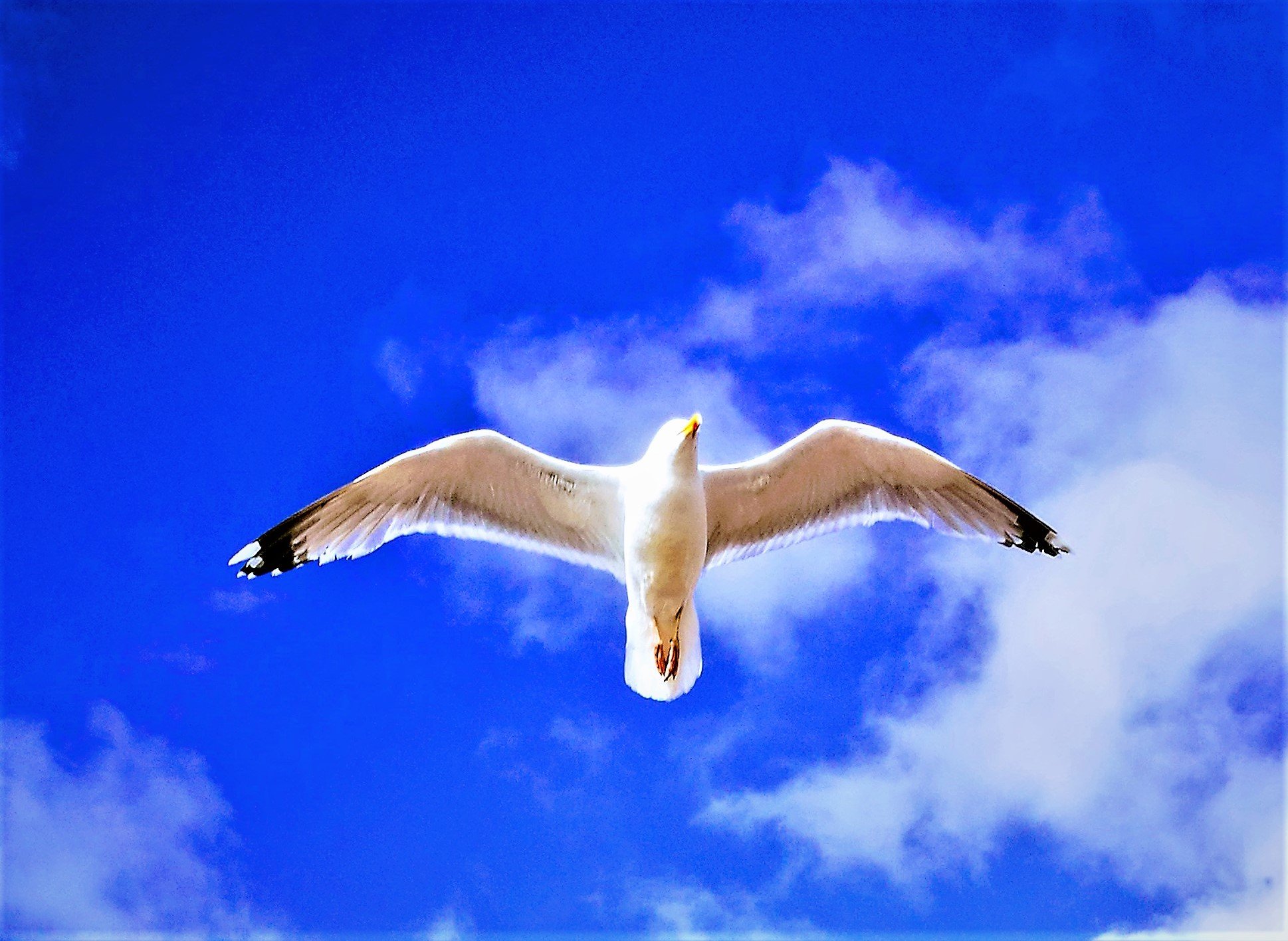 IMG_20180619_184559 (2).jpg