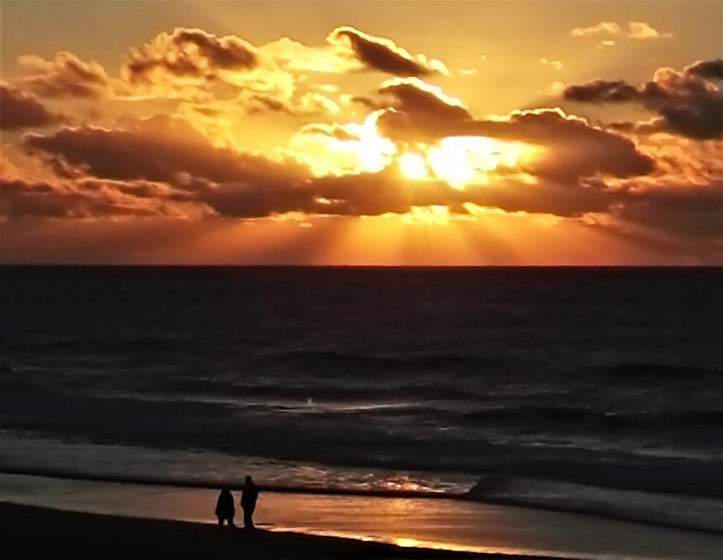 IMG_20161102_163022 (2).jpg