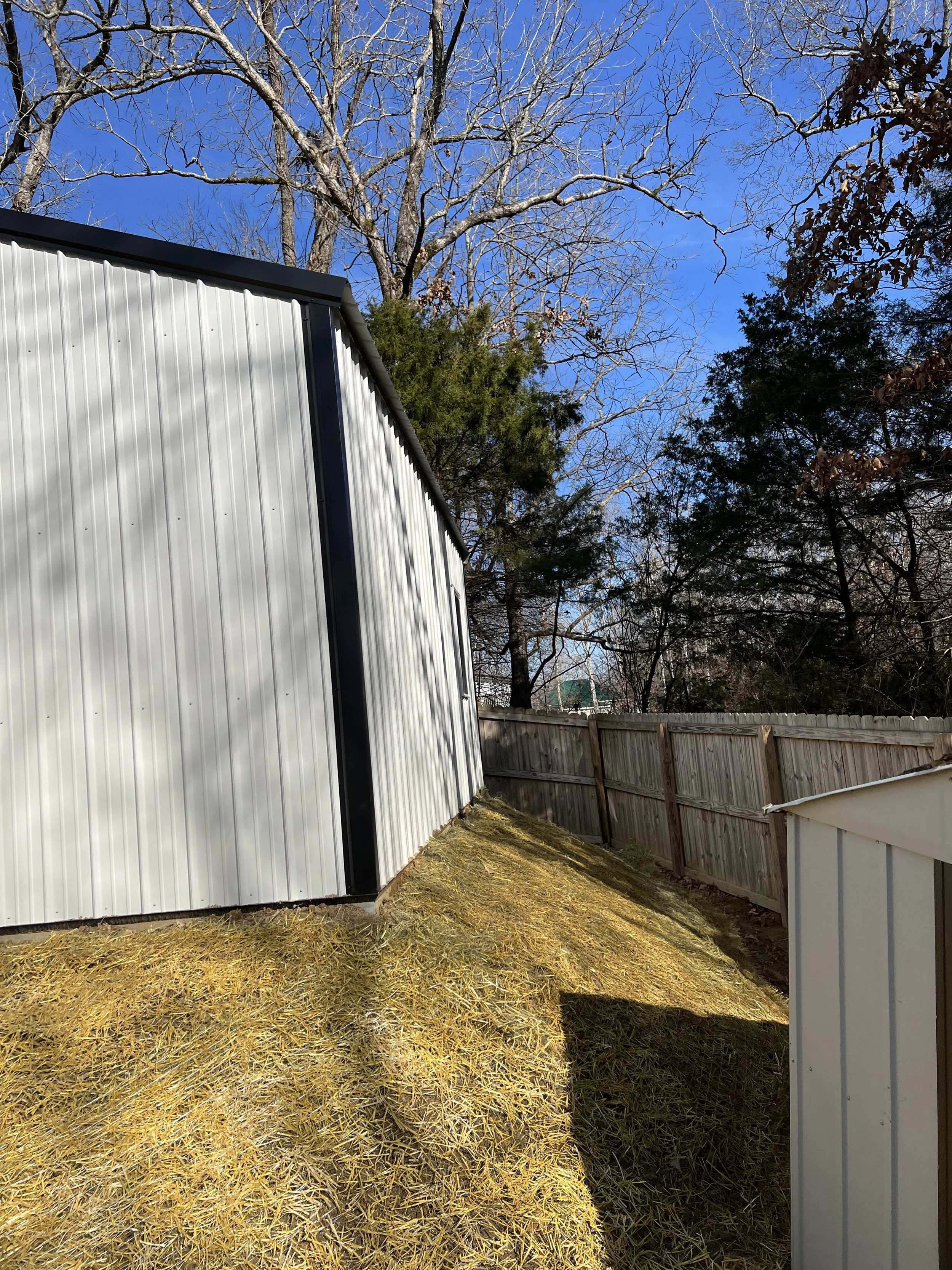 A backyard with a corrugated metal shed, a wooden fence, fallen leaves on the ground, and trees with bare branches under a clear blue sky.