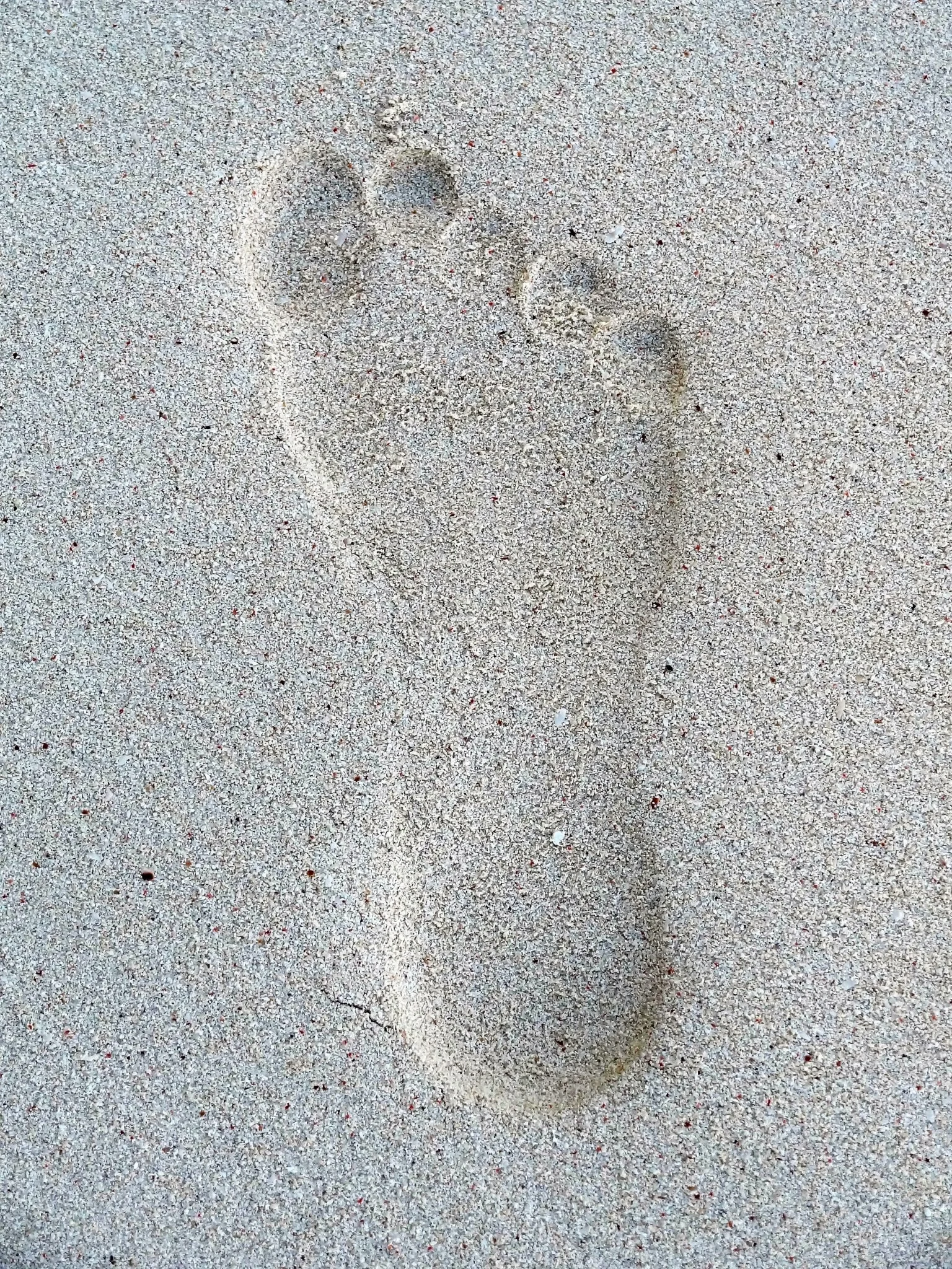 Footprint in the sandy beach with small grains and tiny shells.