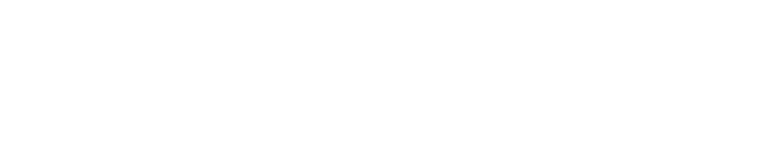 Sanct Noir Studio