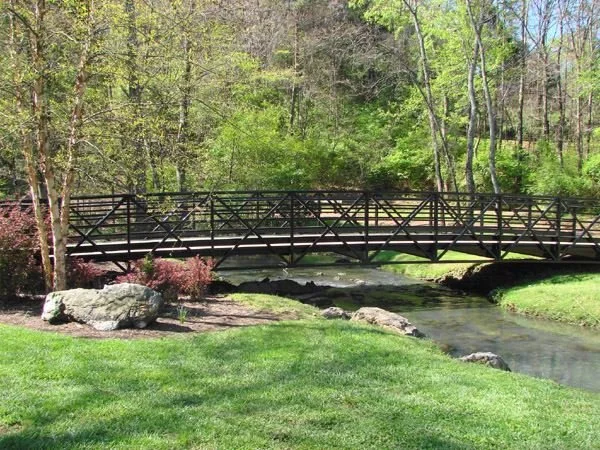 Wooden footbridge crossing over a small stream in a park with lush green grass and trees.