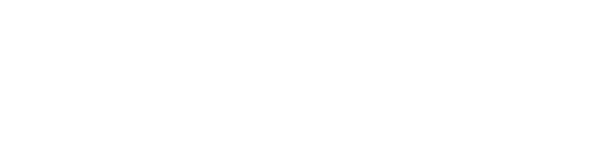 Amy Lewis Equine Podiatrist