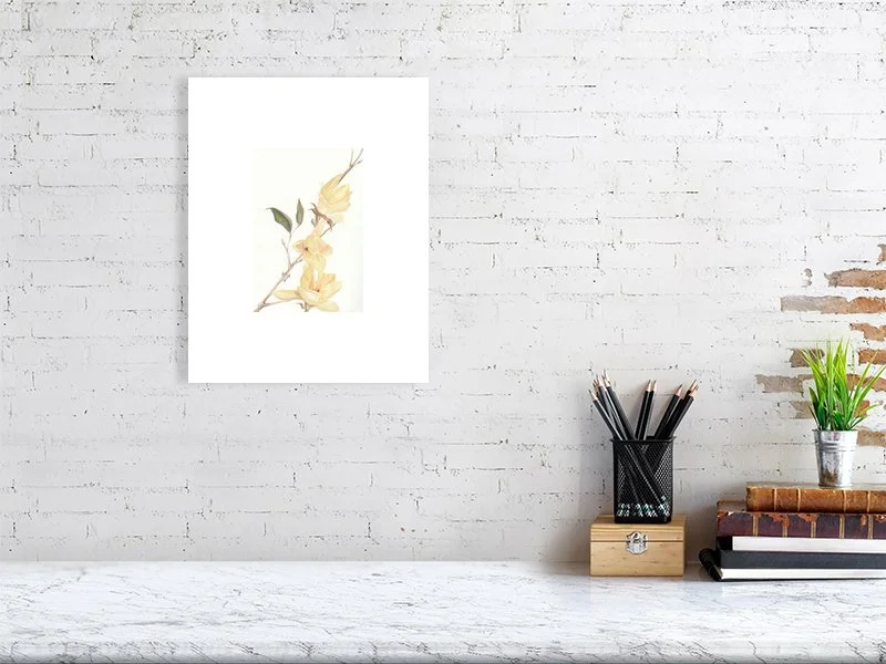 Watercolor Print Magnolia Flowers