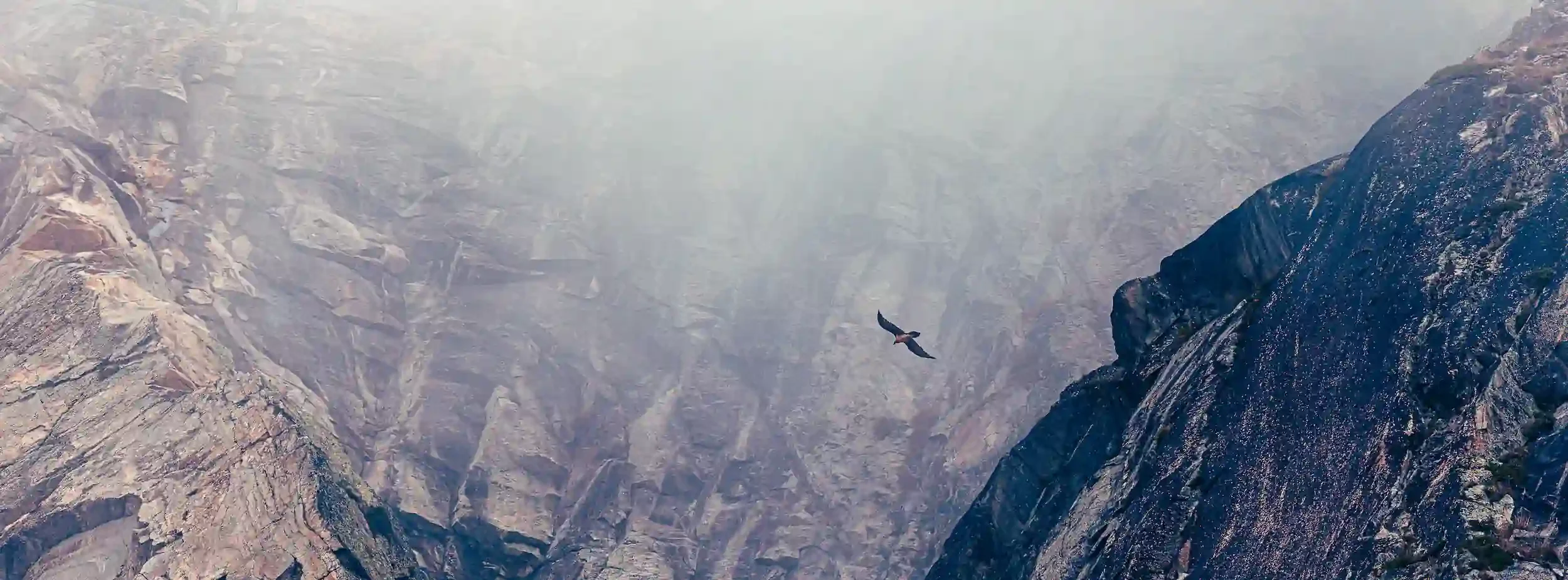 Falaise de Haute Maurienne et Gypaète barbu