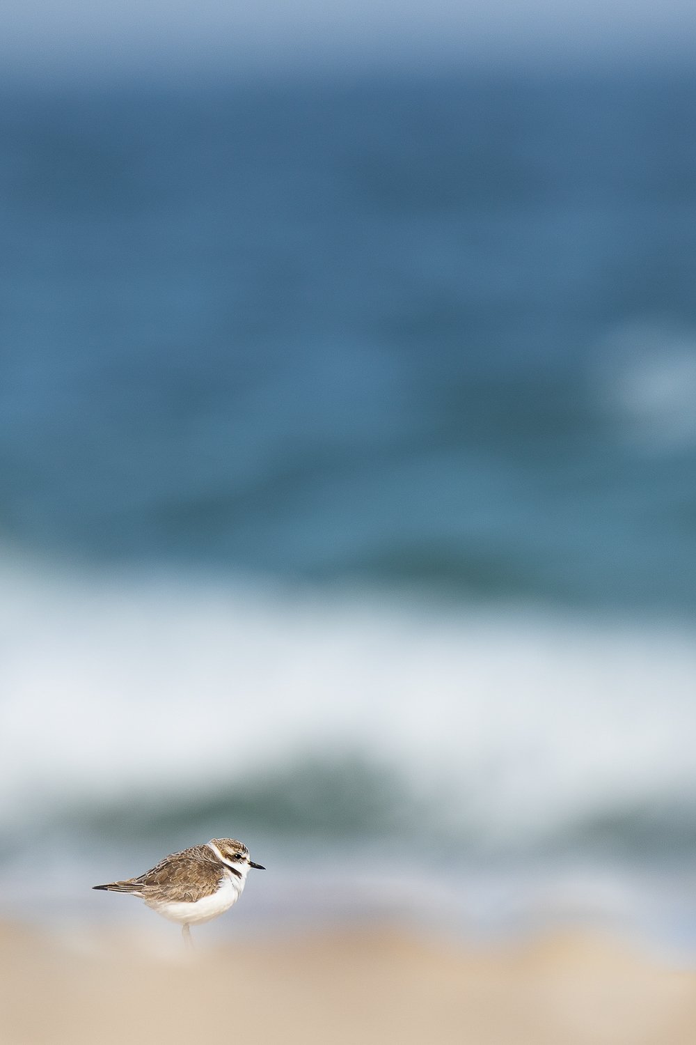 Seul sur la plage