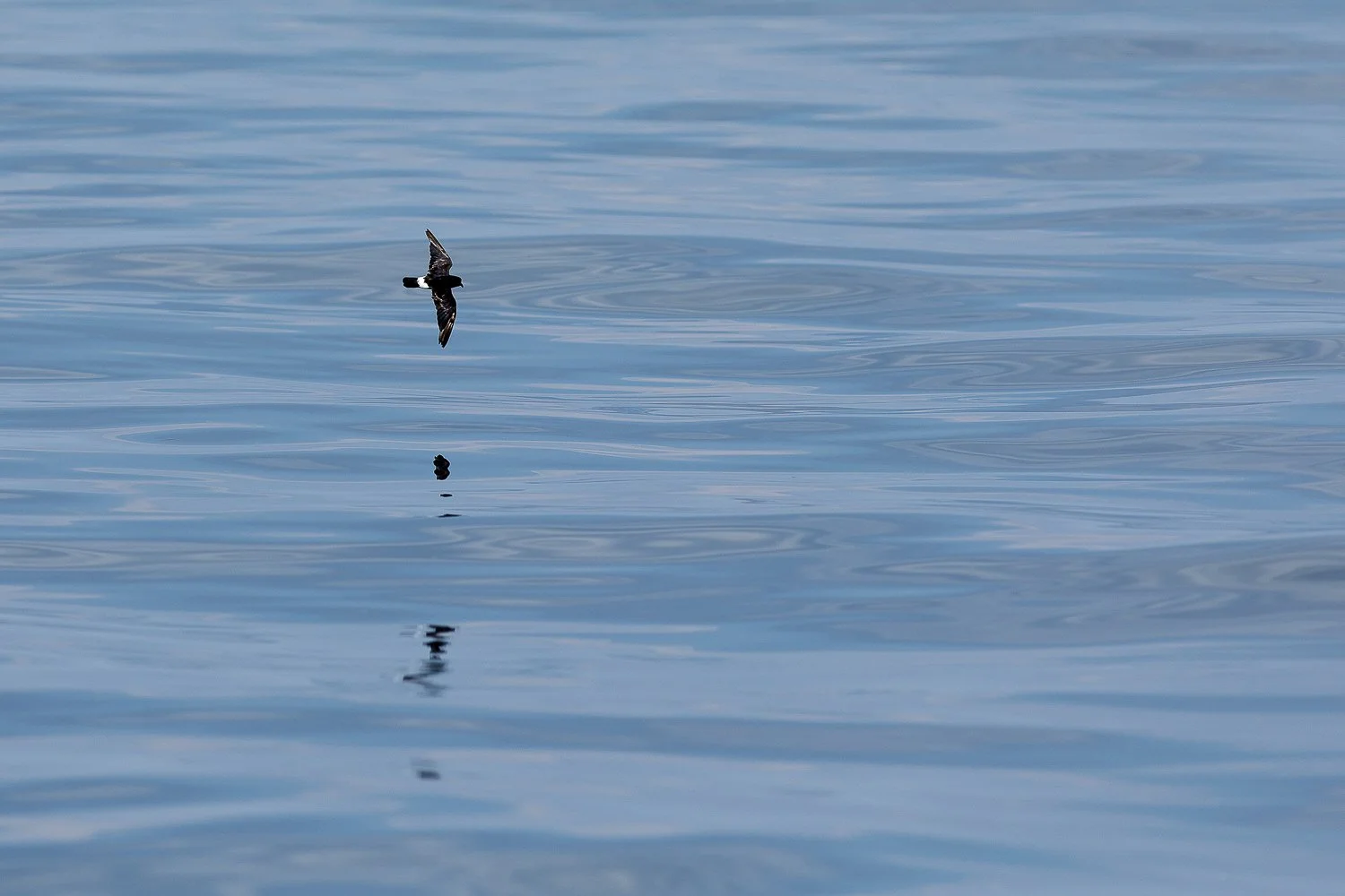 Oceanite-version-minimaliste-sur-une-mer-d-huile.jpg
