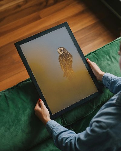 Person tenant une tablette avec une image d'un hibou.