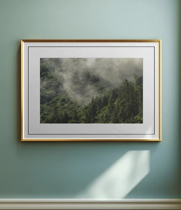 Brume-dans-les-Alpes.jpg