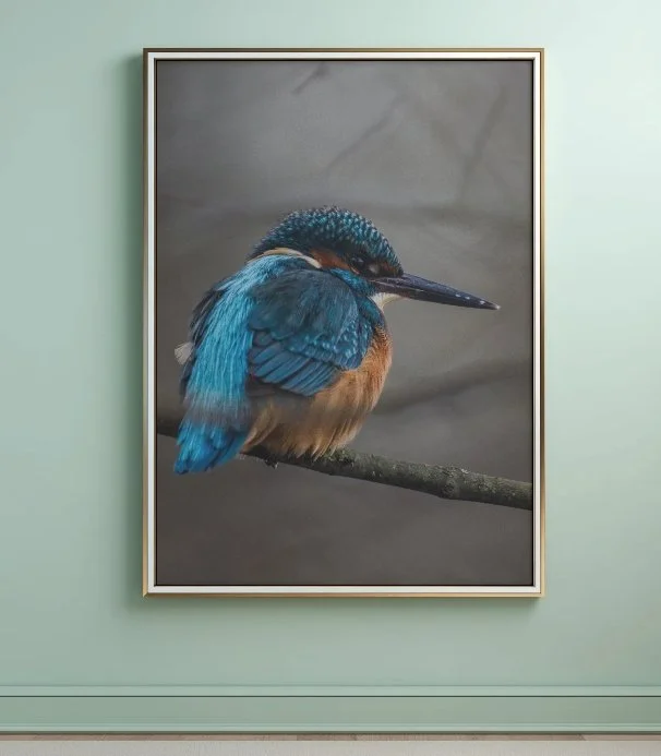Portrait-hivernal.jpg
