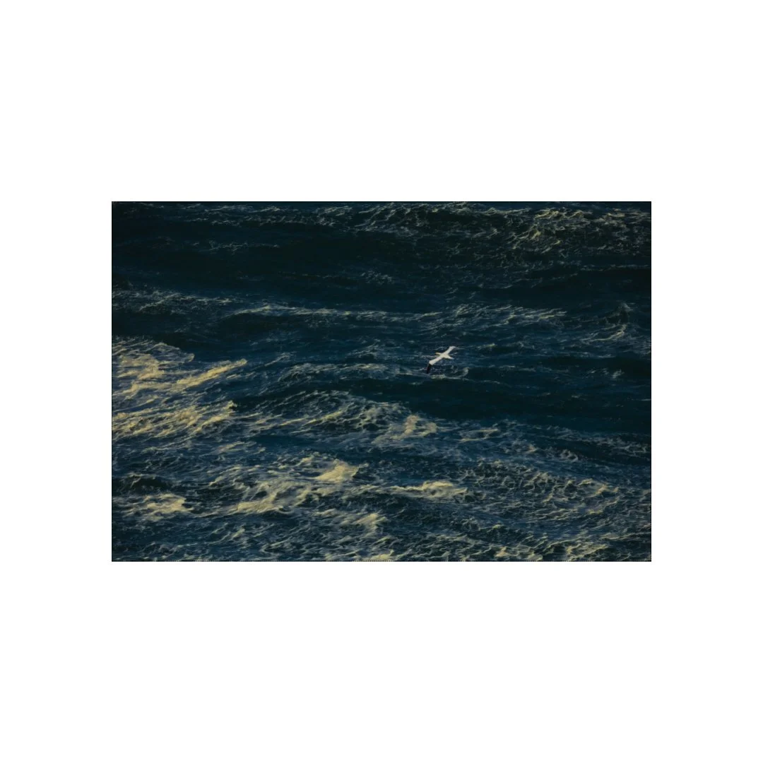 Solitude