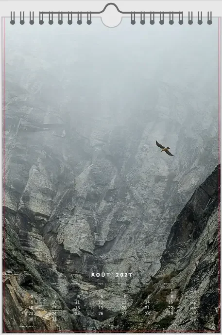 août.webp (copie)