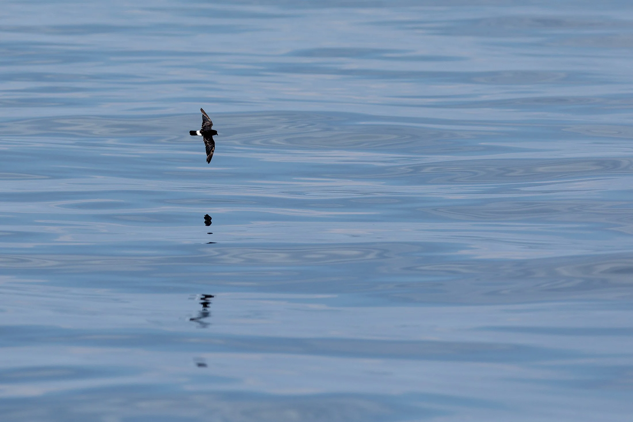 Océanite, version minimaliste