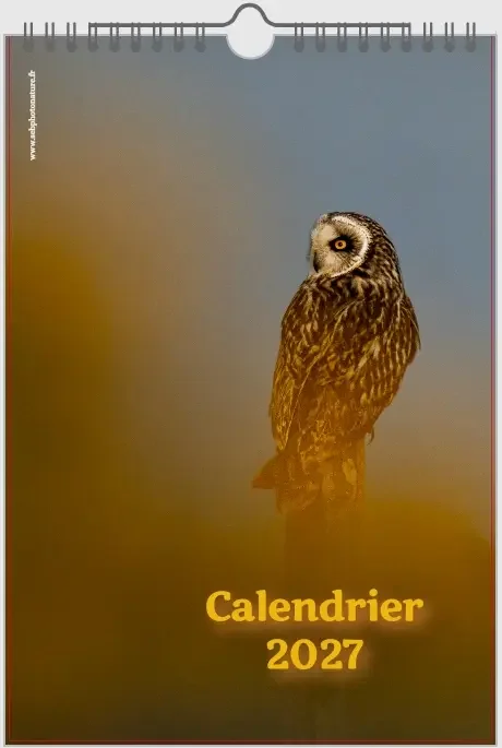 première de couverture.webp (copie)