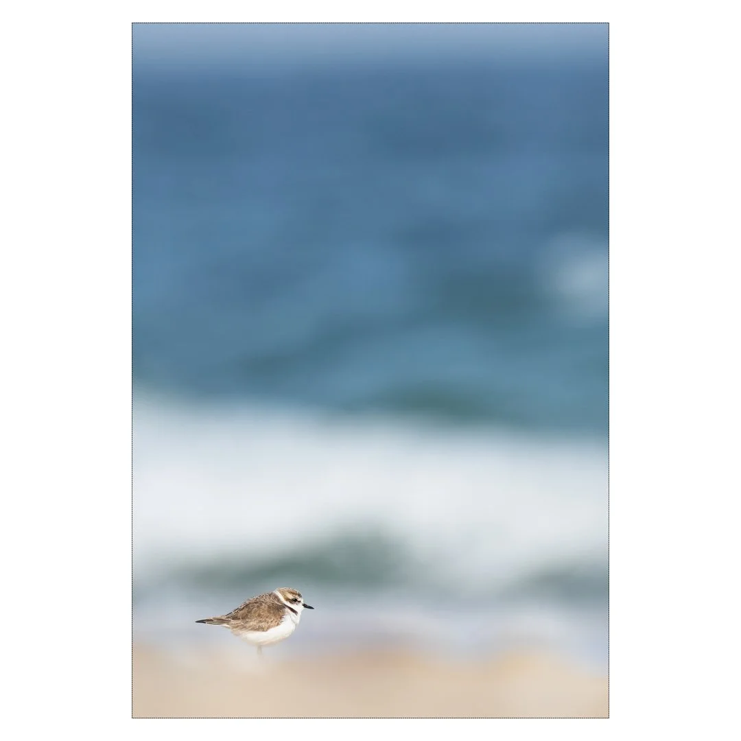 Seul sur la plage