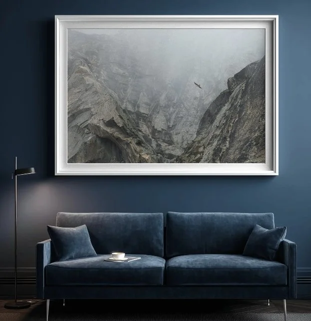 Gypaete-barbu-dans-la-brume.jpg
