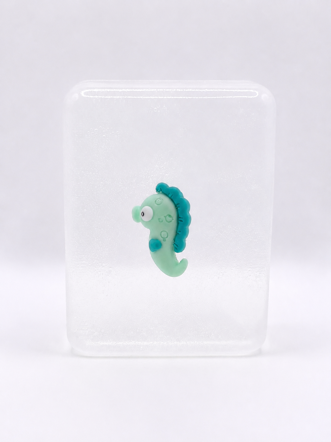 Hippocampe s.png