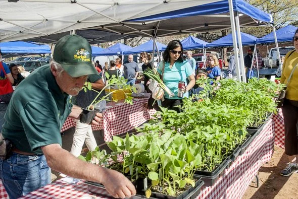 Farmers Market.jpg