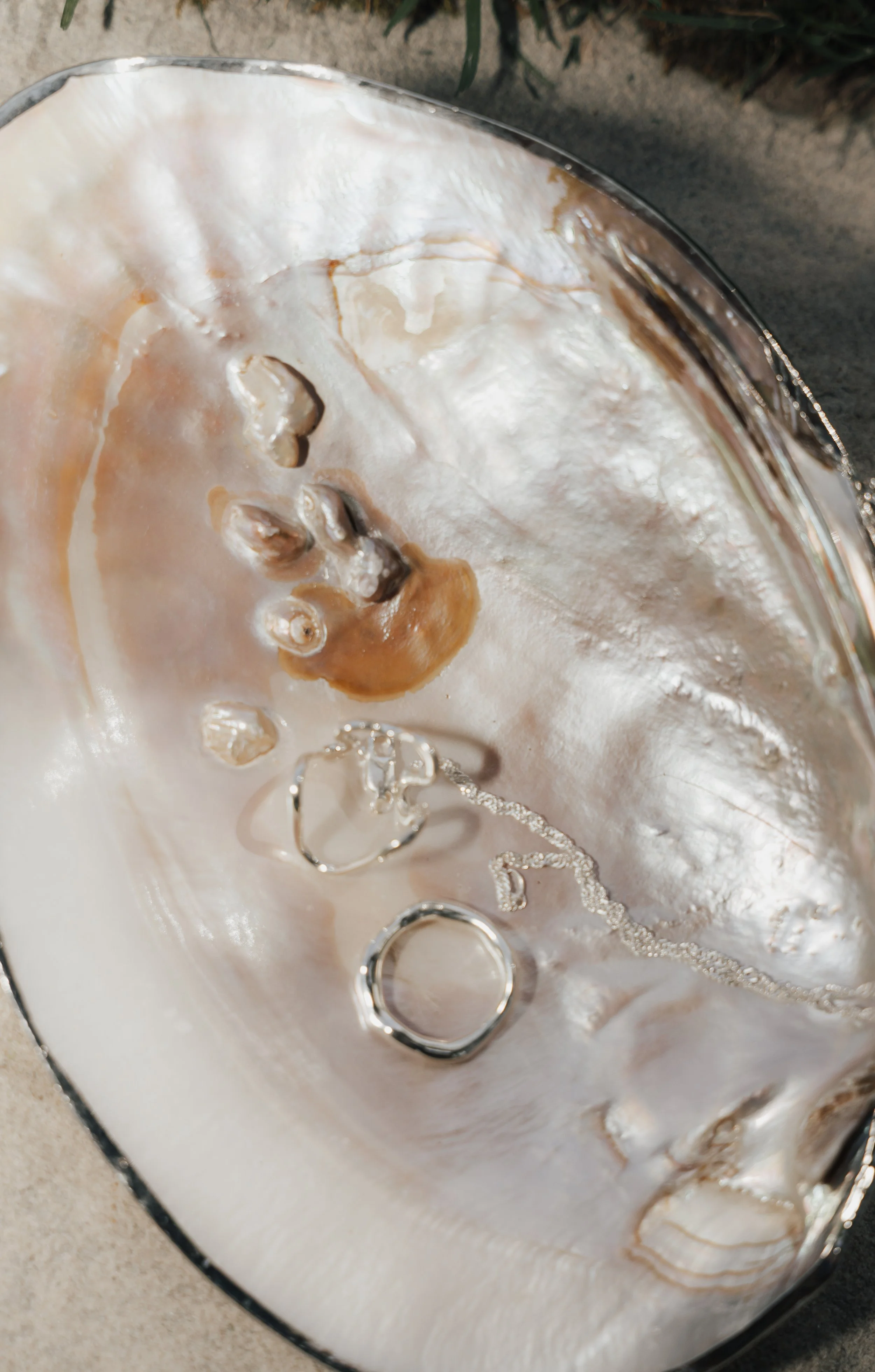 Anna van der Veen Mallorca-27.jpg