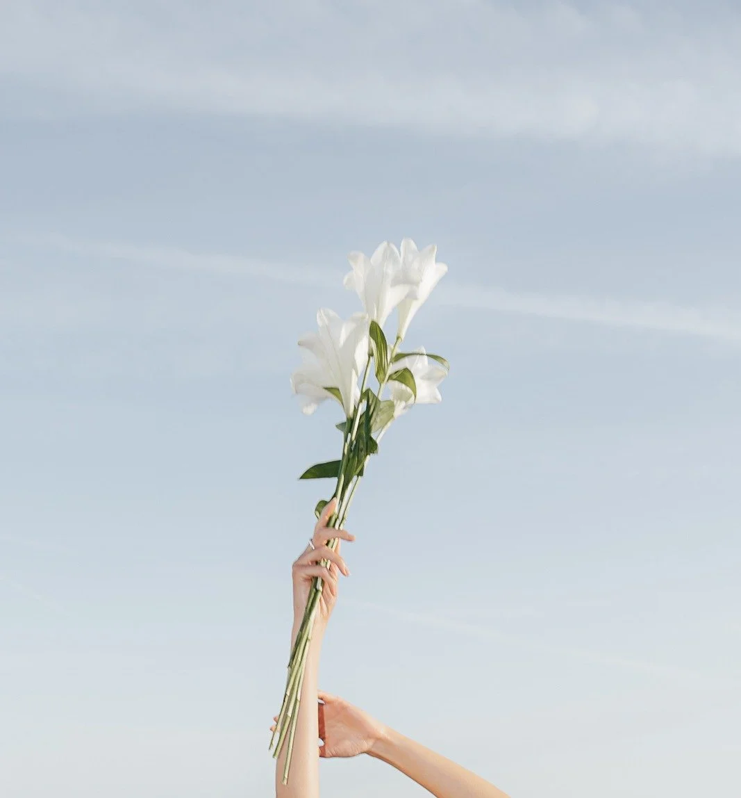A lily held up against the sky – Mallorca editorial by Anna van der Veen