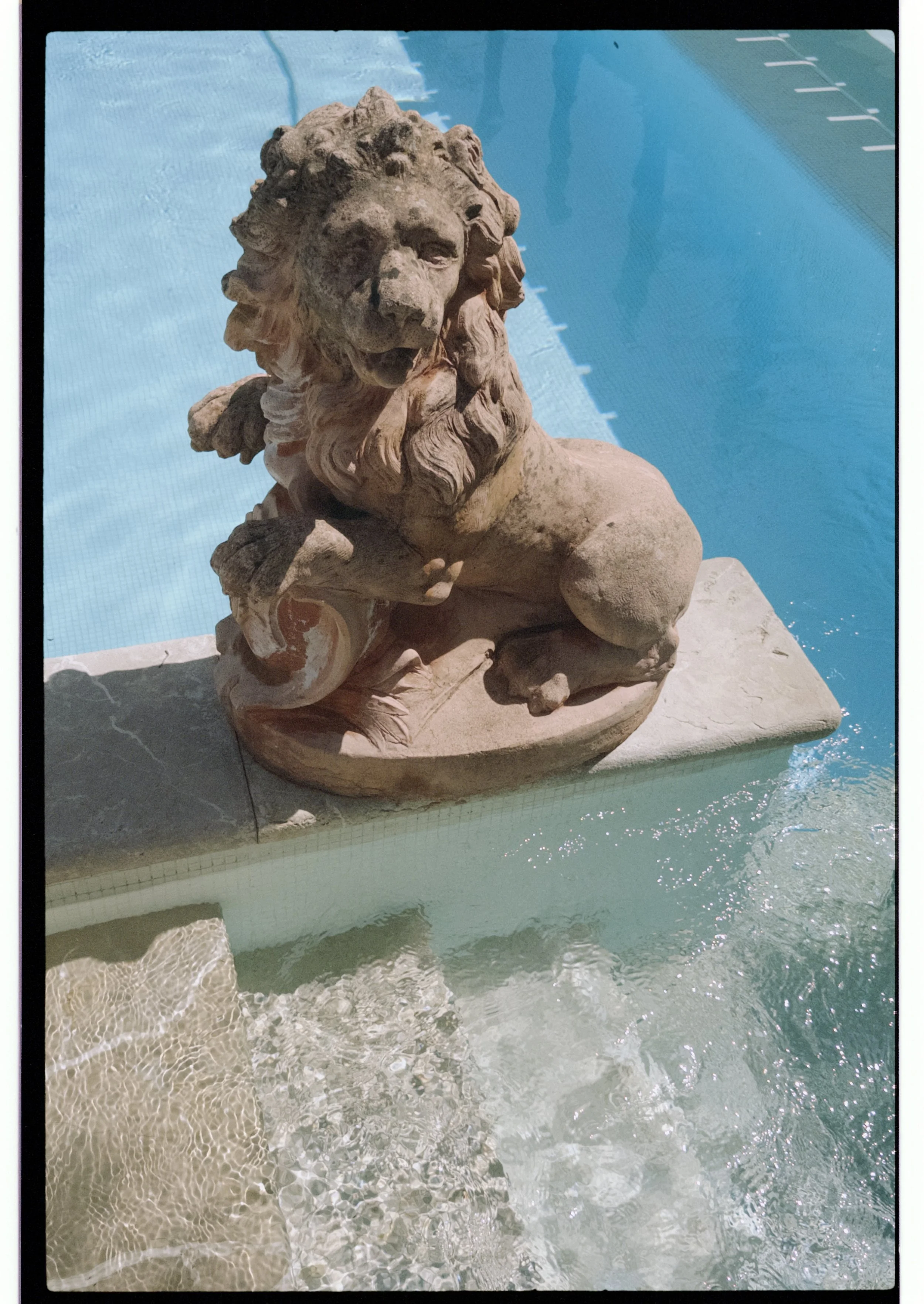 Stone lion statue at the edge of the pool at Ca’s Xorc, Mallorca, shot on film
