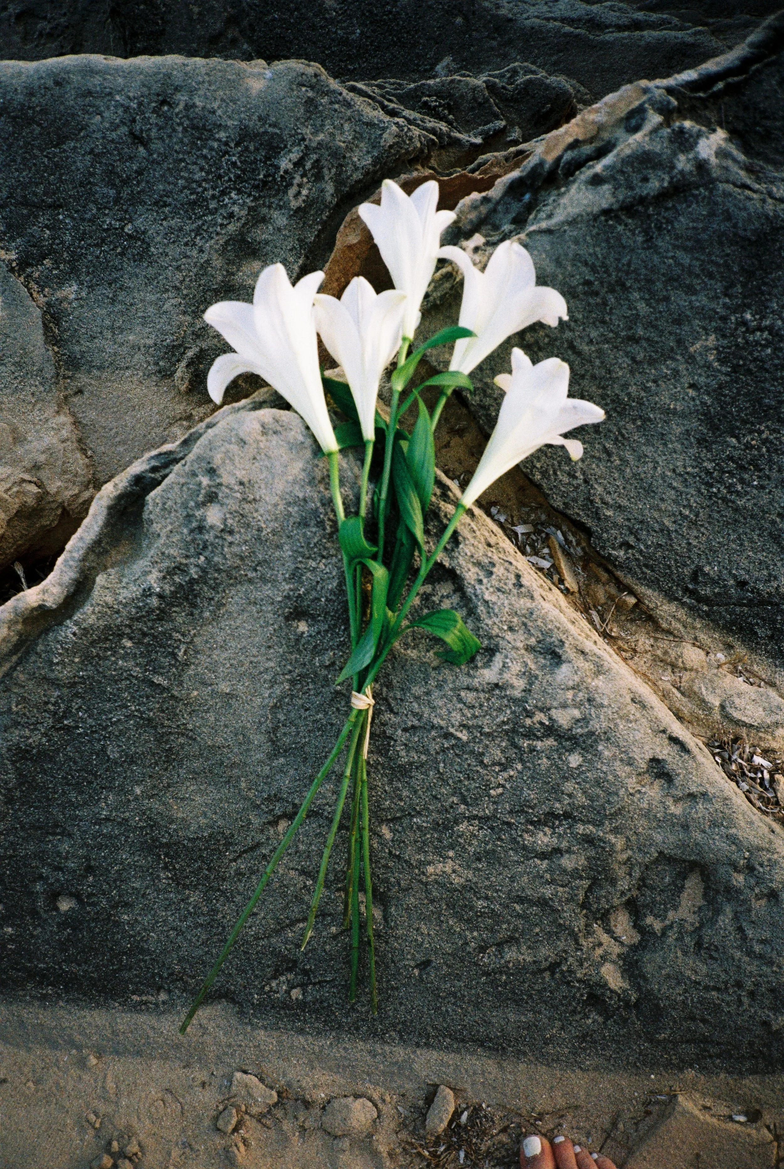 on film