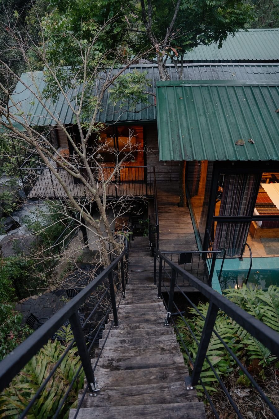 Wooden stairs leading down to a green-roofed treehouse in the forest at The Glenrock, Sri Lanka