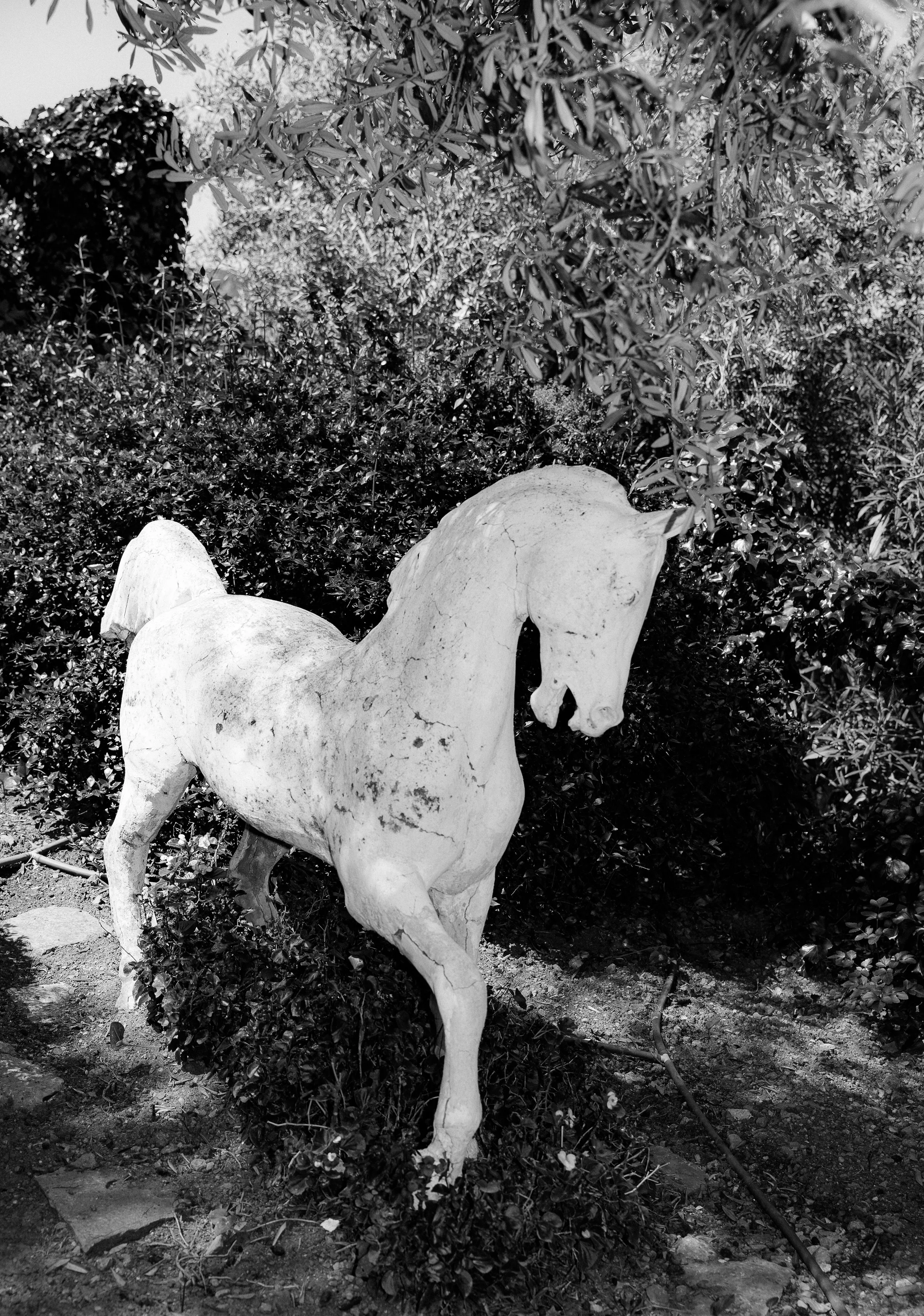 Black and white photo of a white horse sculpture in the gardens of Ca’s Xorc, Mallorca
