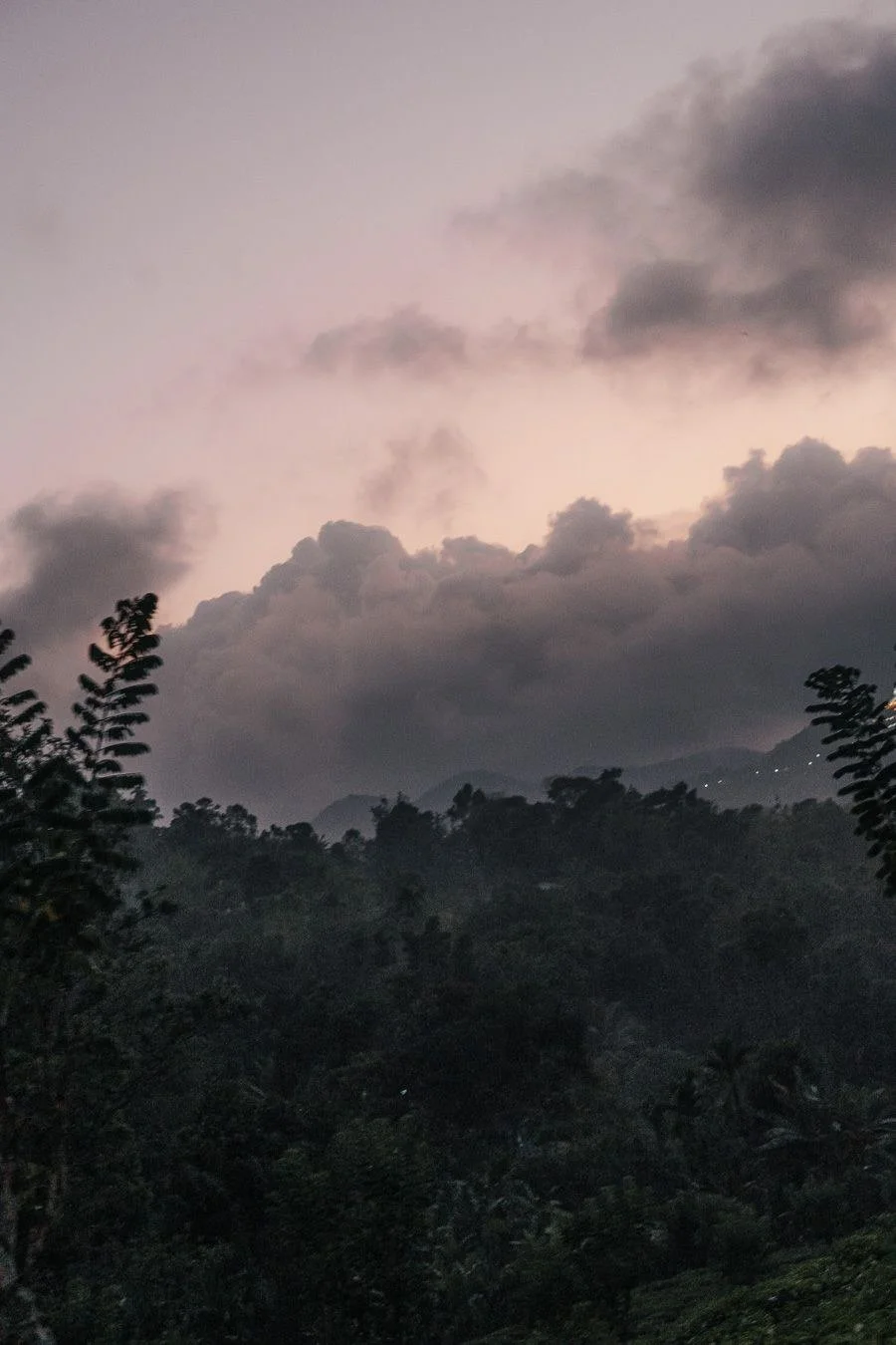 Misty mountains in Sri Lanka at dawn – destination and travel photography by Anna van der Veen