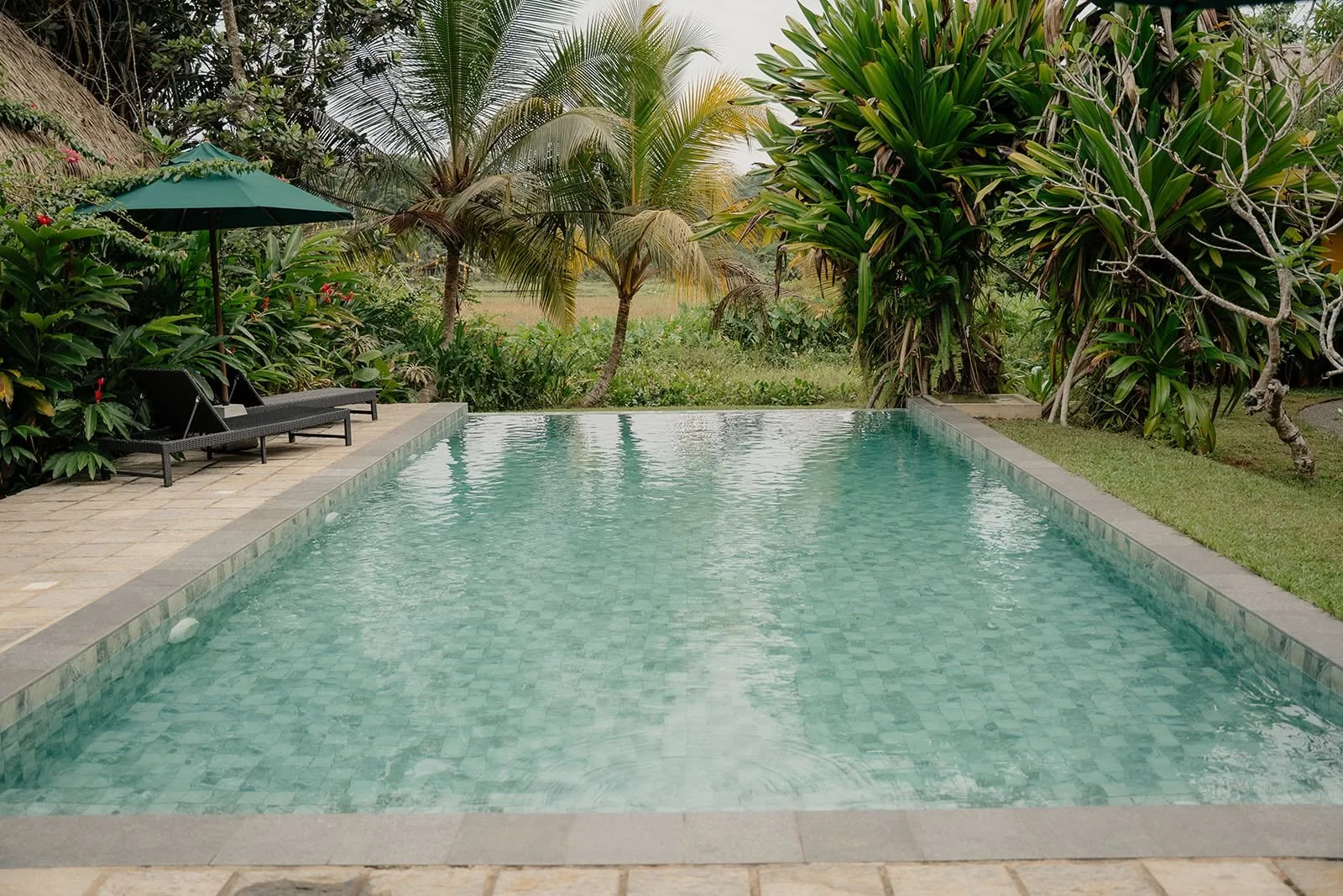 Pool framed by palm trees and tropical gardens at Huma Terra Lodge, Sri Lanka