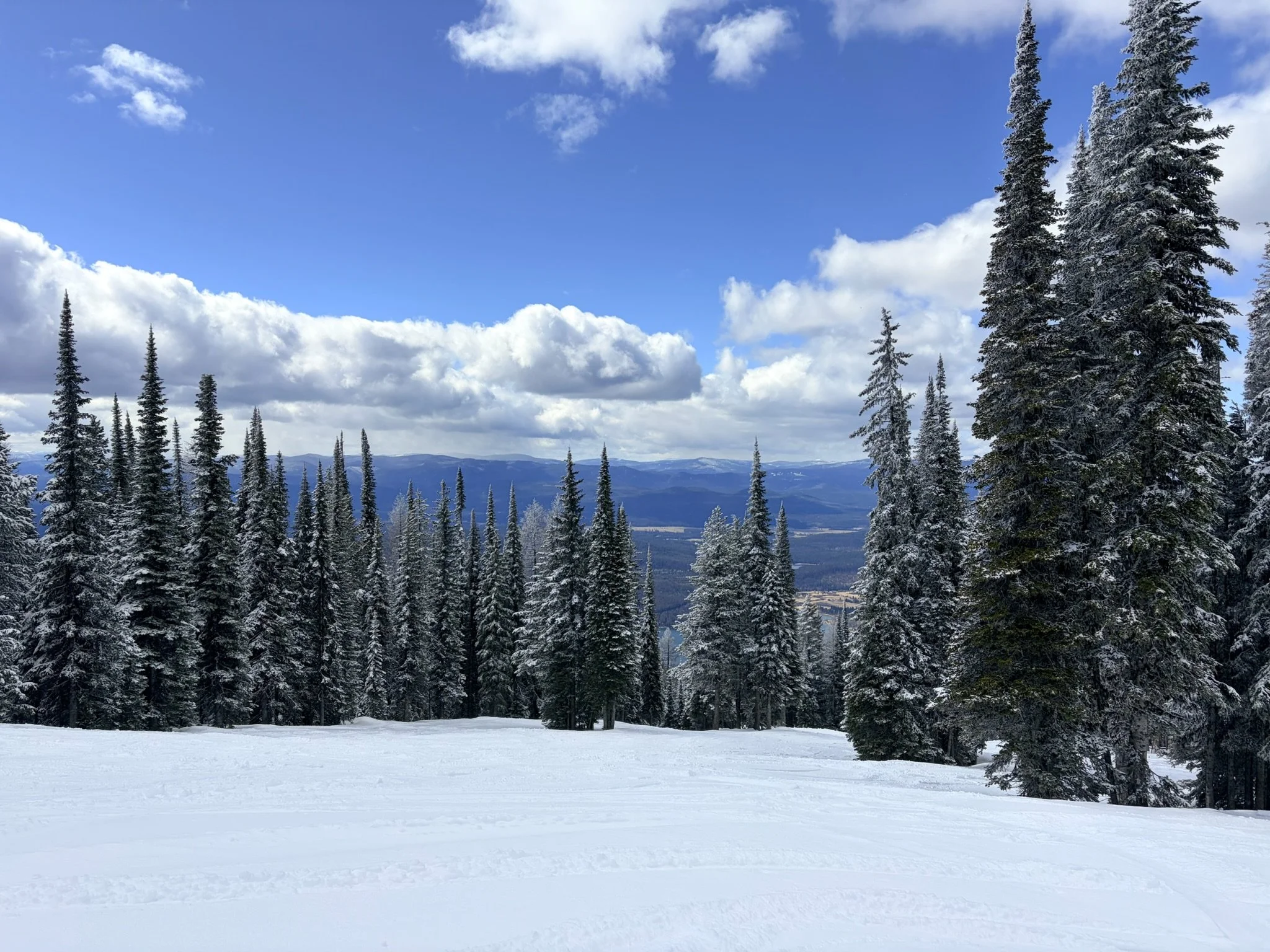 When Life Doesn’t Go as Planned: Finding Steadiness in the Unexpected