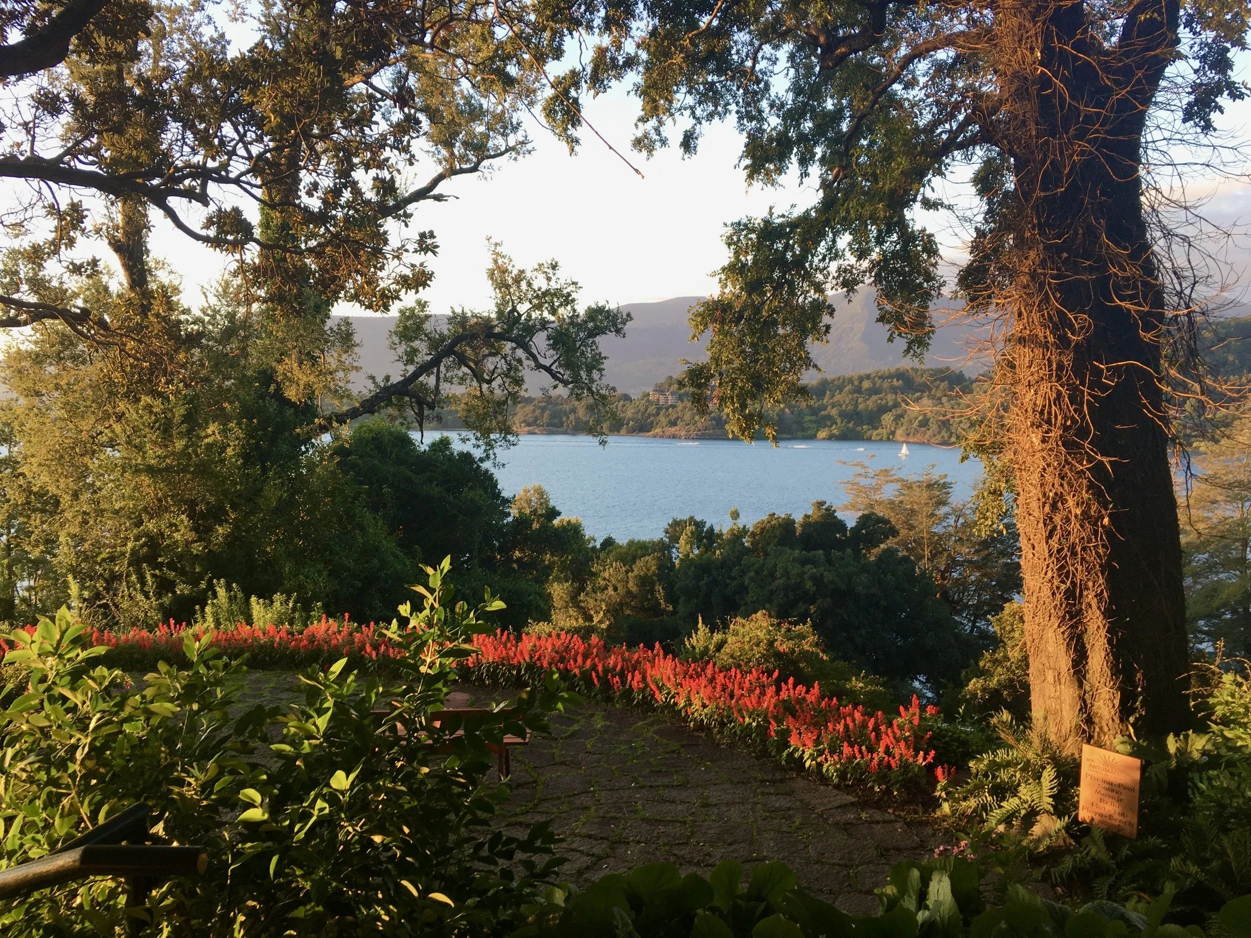 The Quiet Work of Being Present