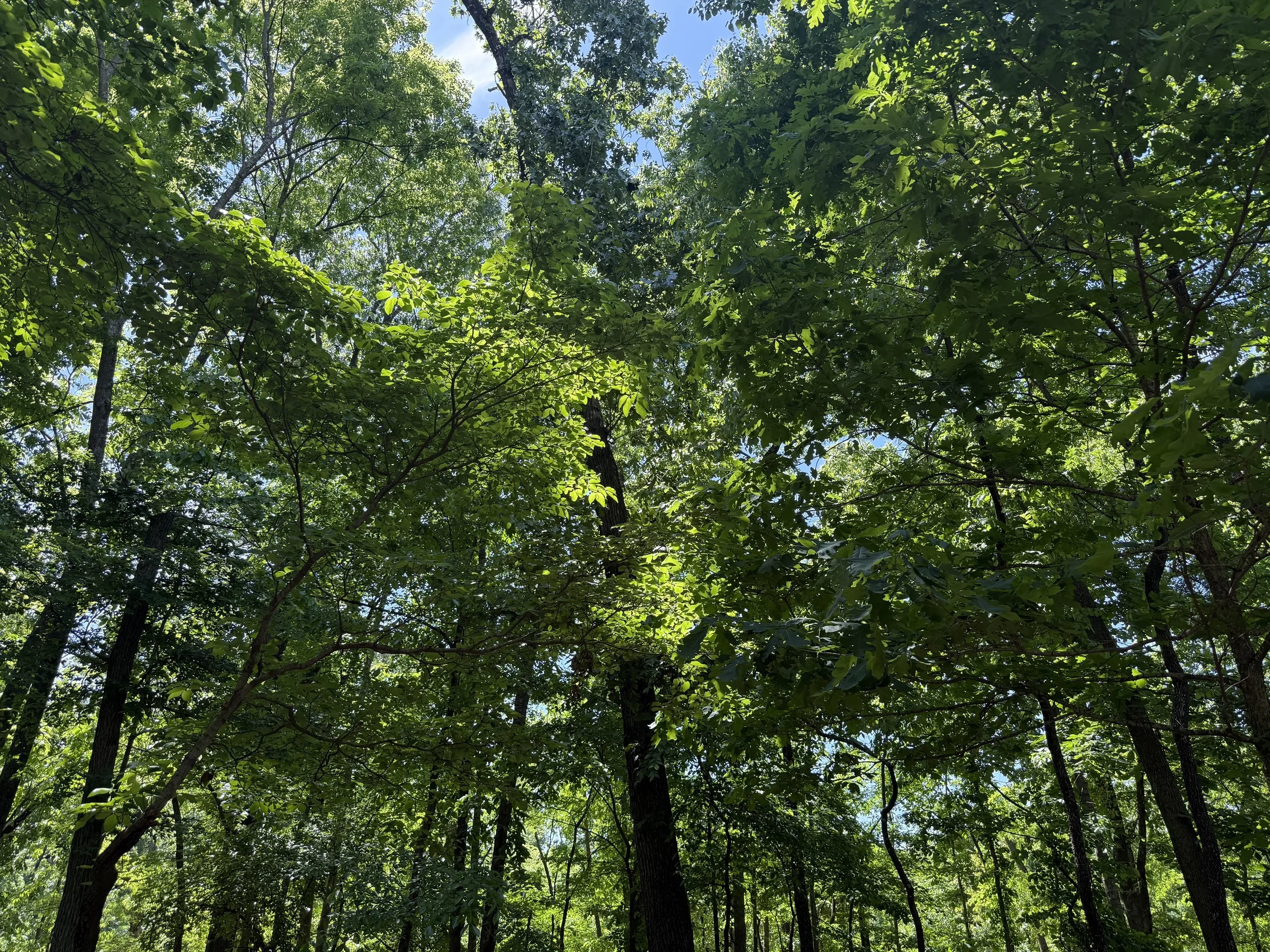 When Grief and Peace Coexist